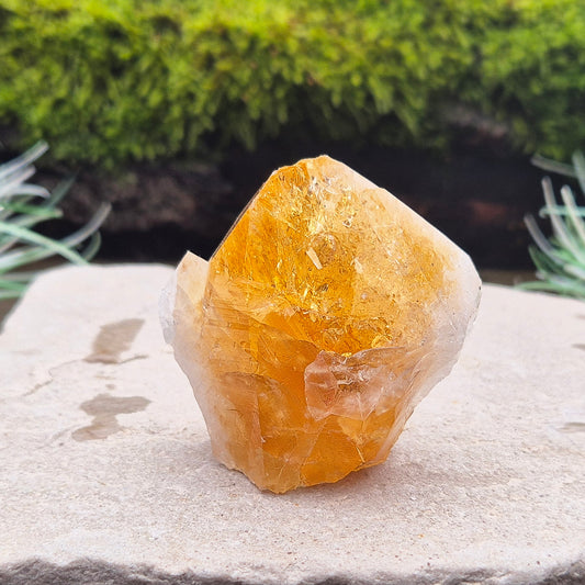 Citrine Crystal Standing Point from Brazil. Has light reflecting inclusions at the tip. Point is polished, sides are natural and the base is cut flat so it will sit on an even surface.