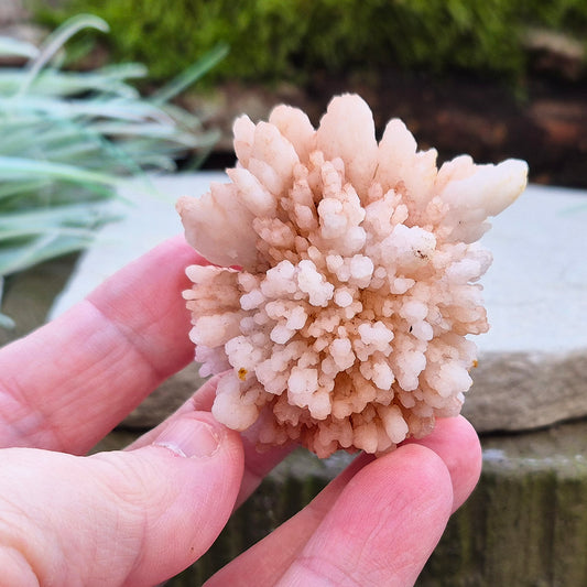 Flower Quartz Crystal Cluster from the Middle Atlas Mountains Morocco. Also sometimes called Pink Chrysanthemum Quartz. 