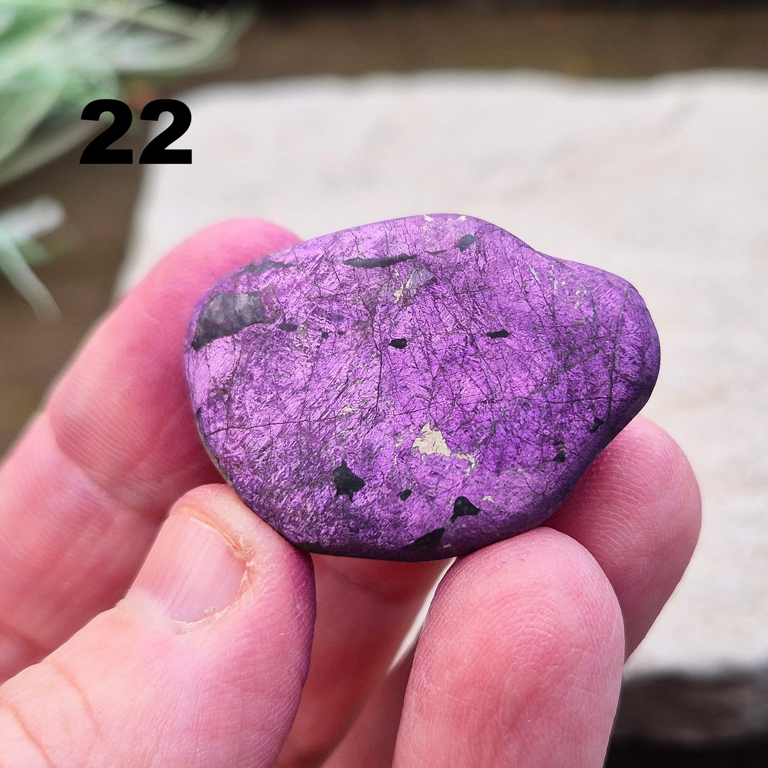 Purpurite. Beautiful purple specimens originating from Namibia. Known for its vibrant purple hue and unique matte, dusty finish. The vibrancy of the purple is shown when its in the light.