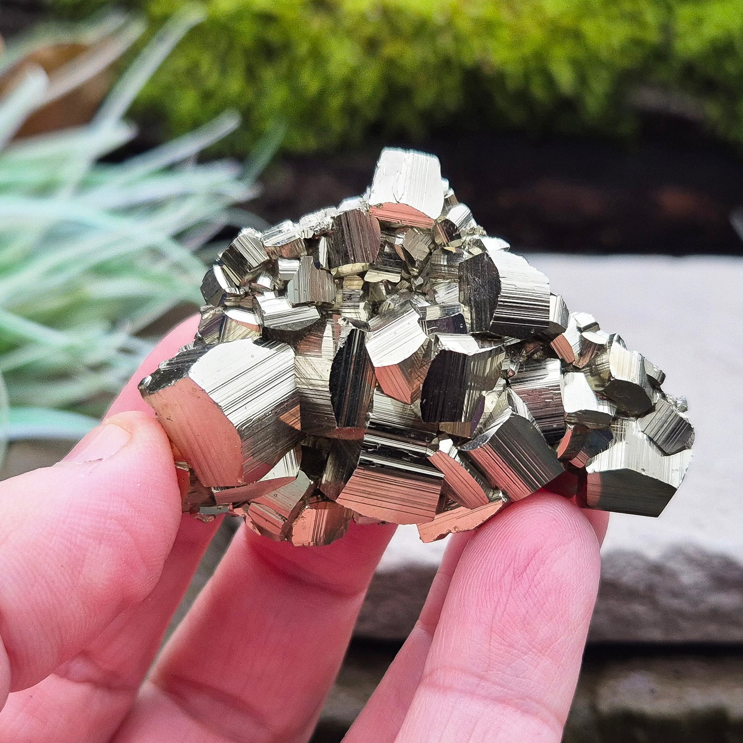 Pyrite Crystal Cluster, from Minas Gerais, Brazil, also known as Fools Gold or Iron Pyrite. Minas Gerais is known for producing high quality Pyrite. This is an A grade specimen with lovely cubic formations.