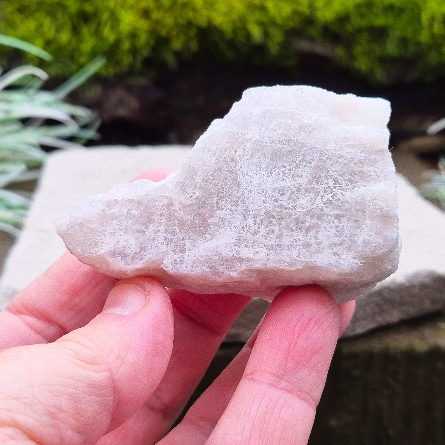 Natural Moonstone (white) crystal. from India. lovely opalescence when light is on the crystal.