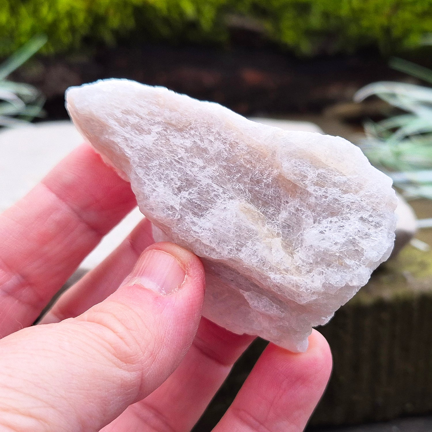 Natural Moonstone (white) crystal. from India. lovely opalescence when light is on the crystal.