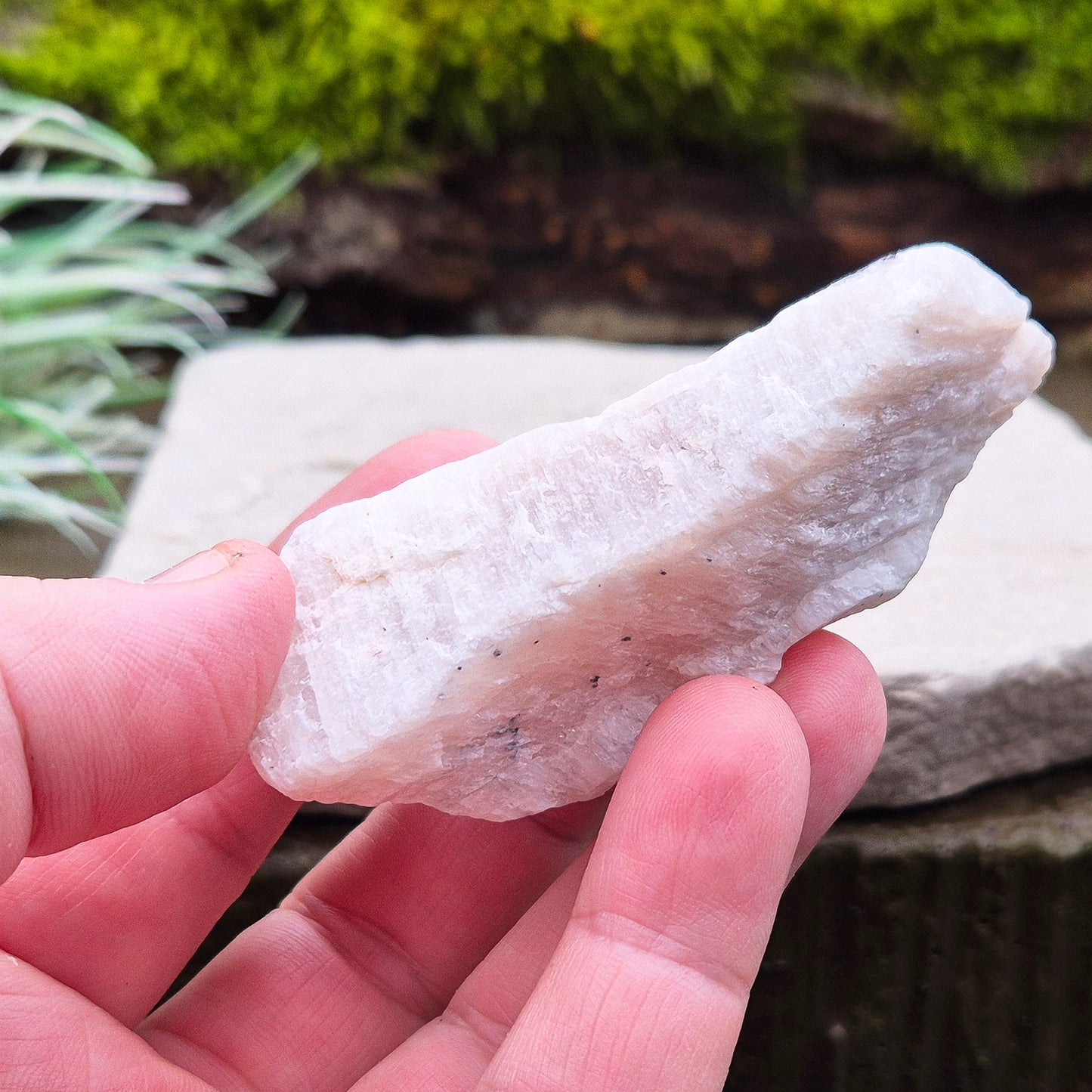 Natural Moonstone (white) crystal. from India. lovely opalescence when light is on the crystal.