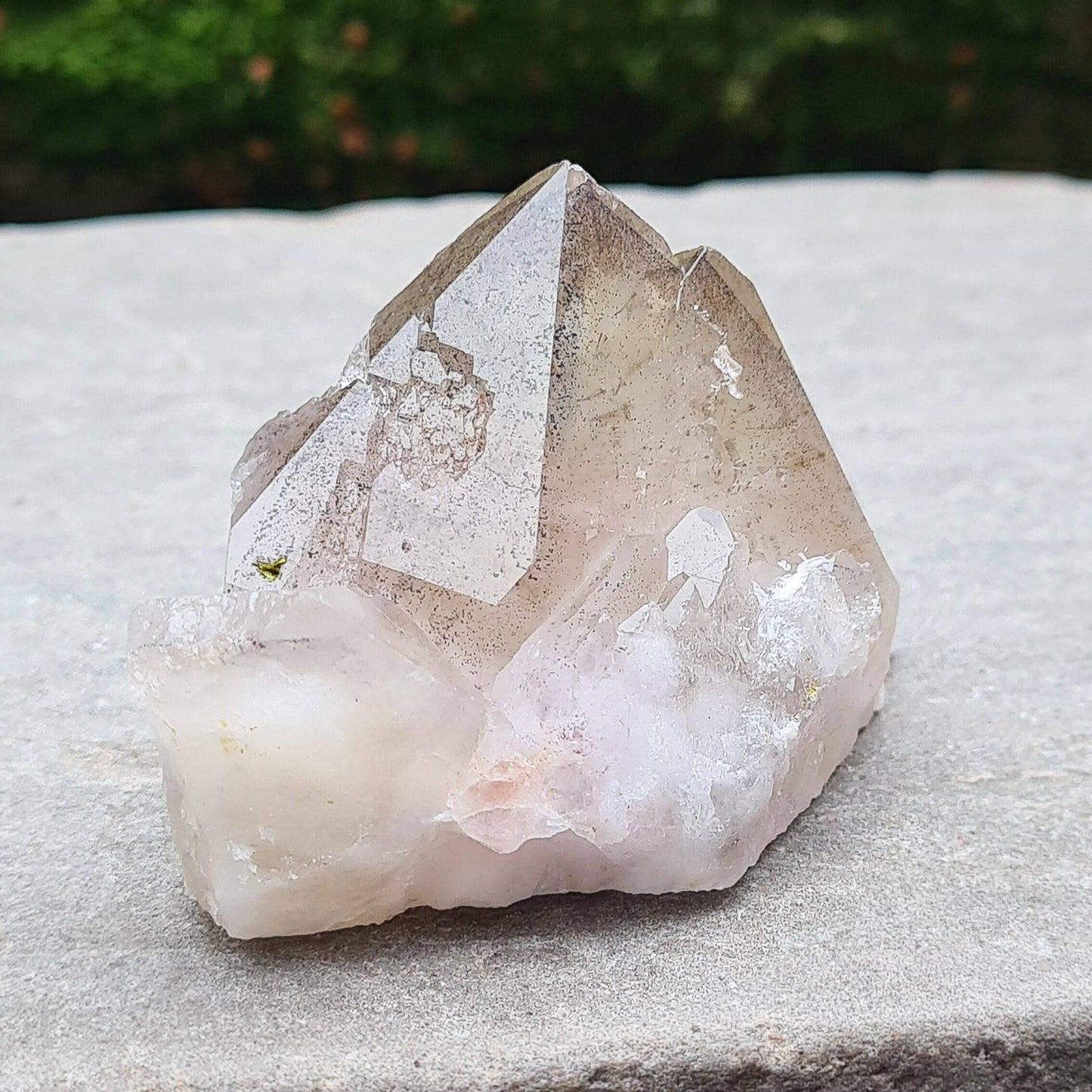 This beautiful Ametrine with Hematite Crystal Standing Point comes from China. A colour shines through in natural light, with a double polished tip, natural body, and a cut base. The addition of Hematite grounds Ametrine’s mental clarity and spiritual uplift, creating a deeply balancing and energising piece.