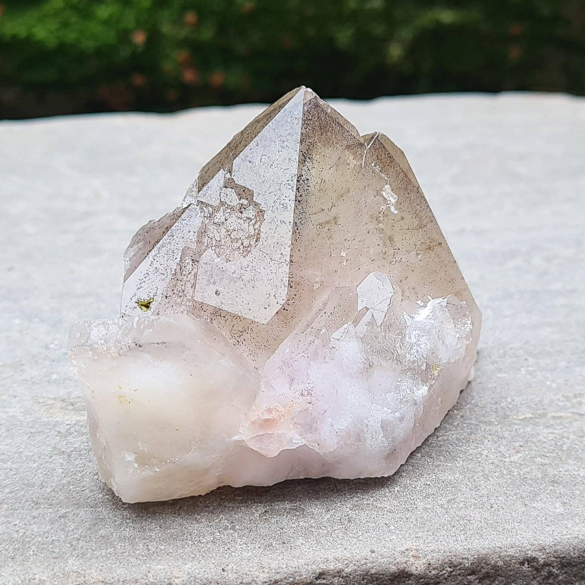 This beautiful Ametrine with Hematite Crystal Standing Point comes from China. A colour shines through in natural light, with a double polished tip, natural body, and a cut base. The addition of Hematite grounds Ametrine’s mental clarity and spiritual uplift, creating a deeply balancing and energising piece.