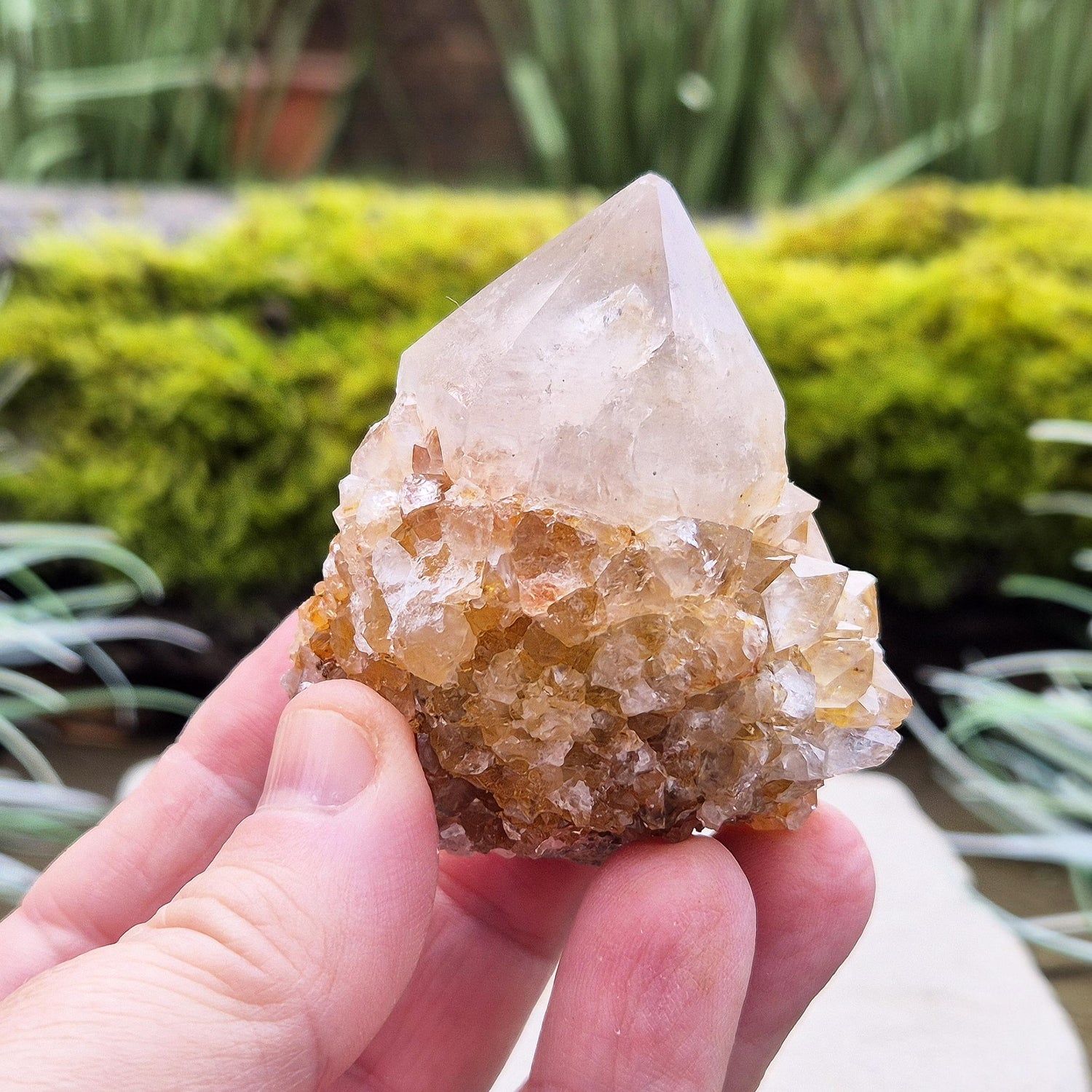 Spirit Quartz Crystal Cluster, also known as Cactus Quartz, originates from north of Pretoria in South Africa’s Gauteng province. This unique crystal features a central quartz point surrounded by smaller druzy quartz crystals.