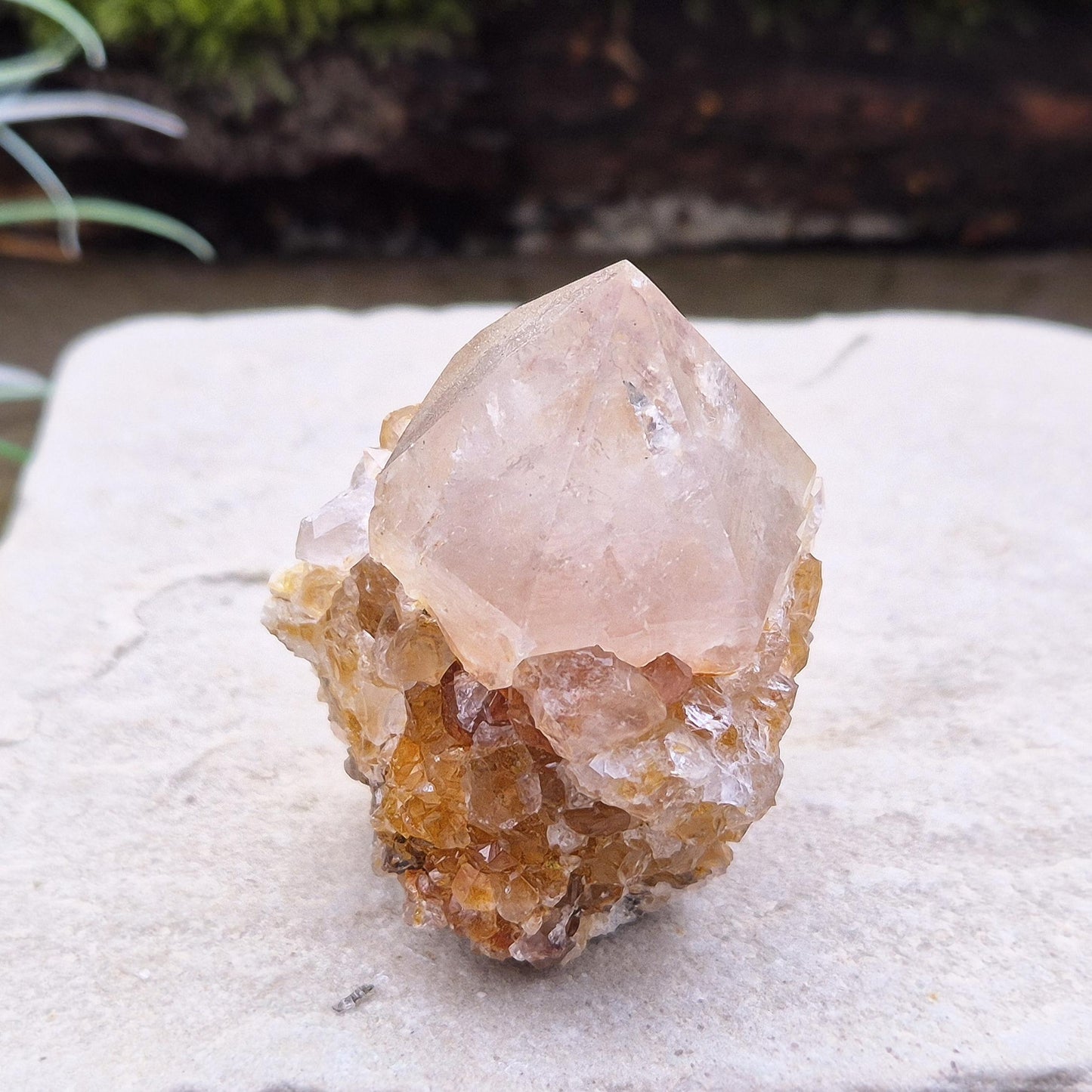 Spirit Quartz Crystal Cluster, Fairy Quartz, Drusy Quartz, Cactus Quartz