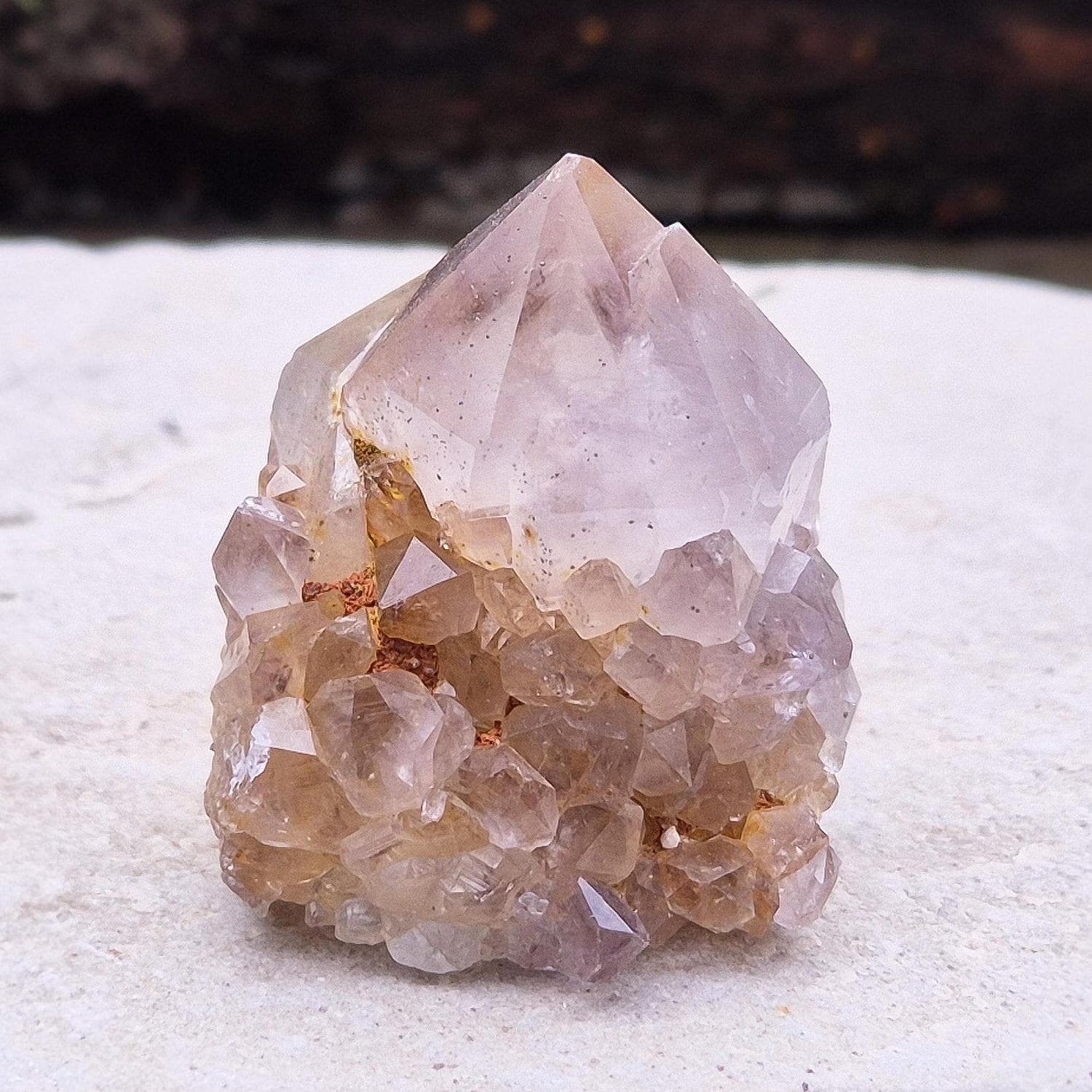 Spirit Quartz Crystal Cluster, also known as Cactus Quartz, originates from north of Pretoria in South Africa’s Gauteng province. This unique crystal features a central quartz point surrounded by smaller druzy quartz crystals.