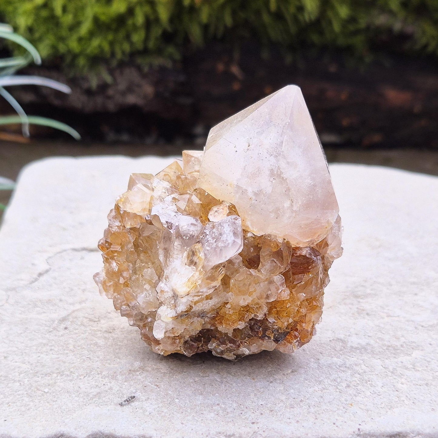 Spirit Quartz Crystal Cluster, Fairy Quartz, Drusy Quartz, Cactus Quartz