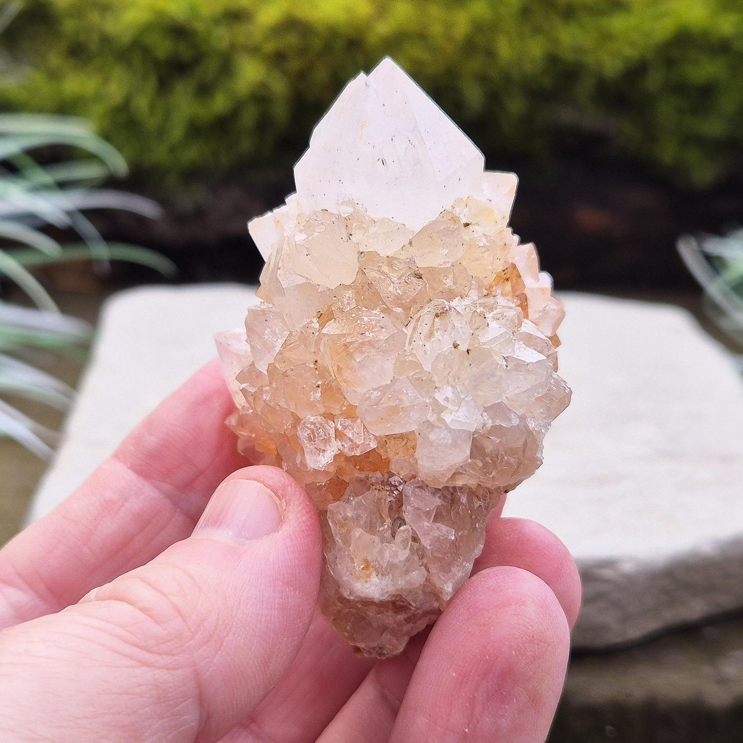 Spirit Quartz Crystal Cluster, also known as Cactus Quartz, originates from north of Pretoria in South Africa’s Gauteng province. This unique crystal features a central quartz point surrounded by smaller druzy quartz crystals.