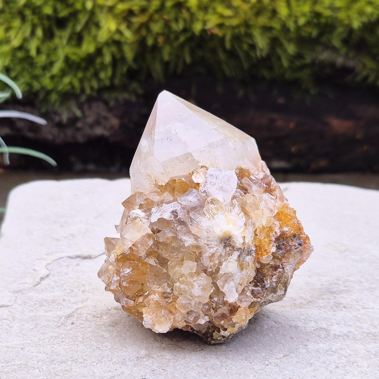 Spirit Quartz Crystal Cluster, Fairy Quartz, Drusy Quartz, Cactus Quartz