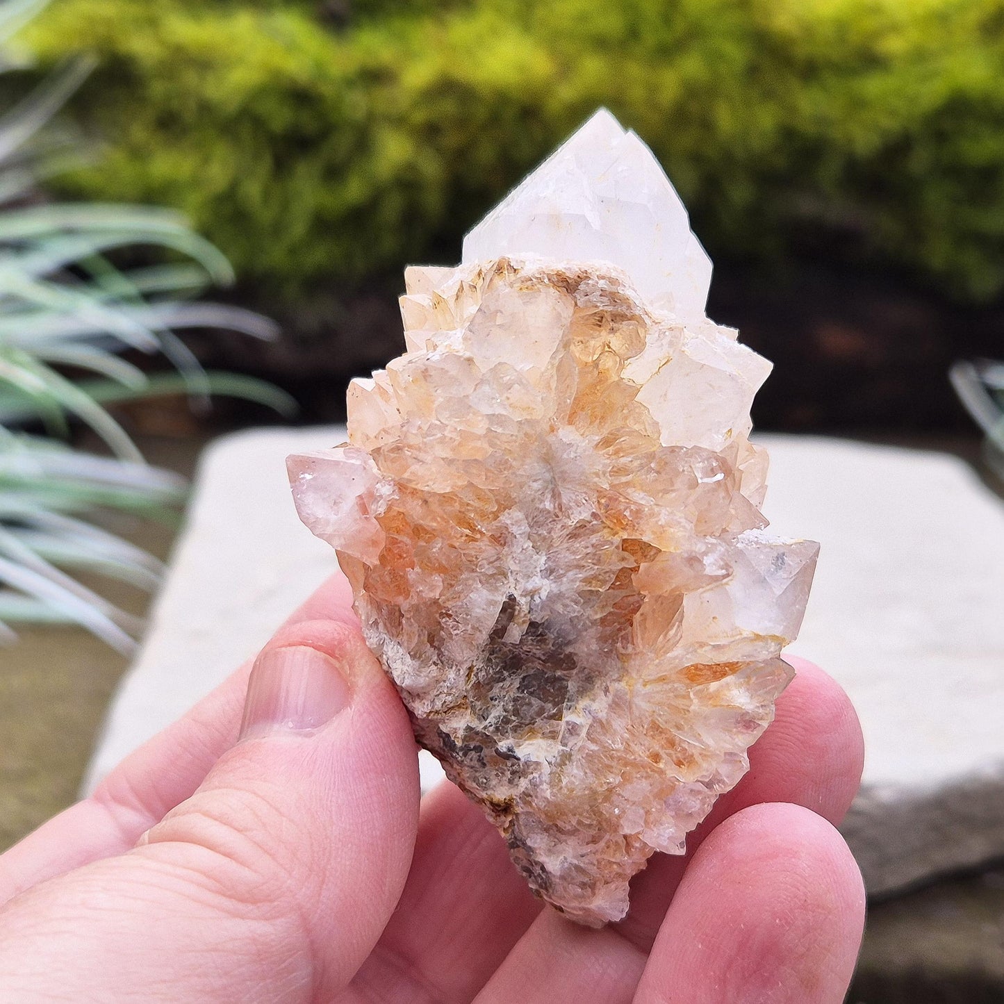 Spirit Quartz Crystal Cluster, Cactus Quartz