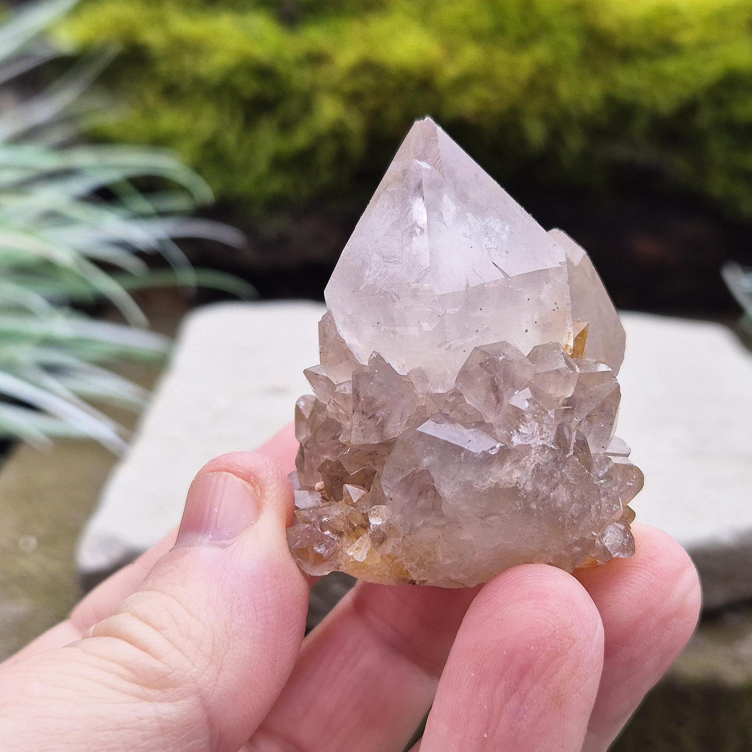 Spirit Quartz Crystal Cluster, also known as Cactus Quartz, originates from north of Pretoria in South Africa’s Gauteng province. This unique crystal features a central quartz point surrounded by smaller druzy quartz crystals.