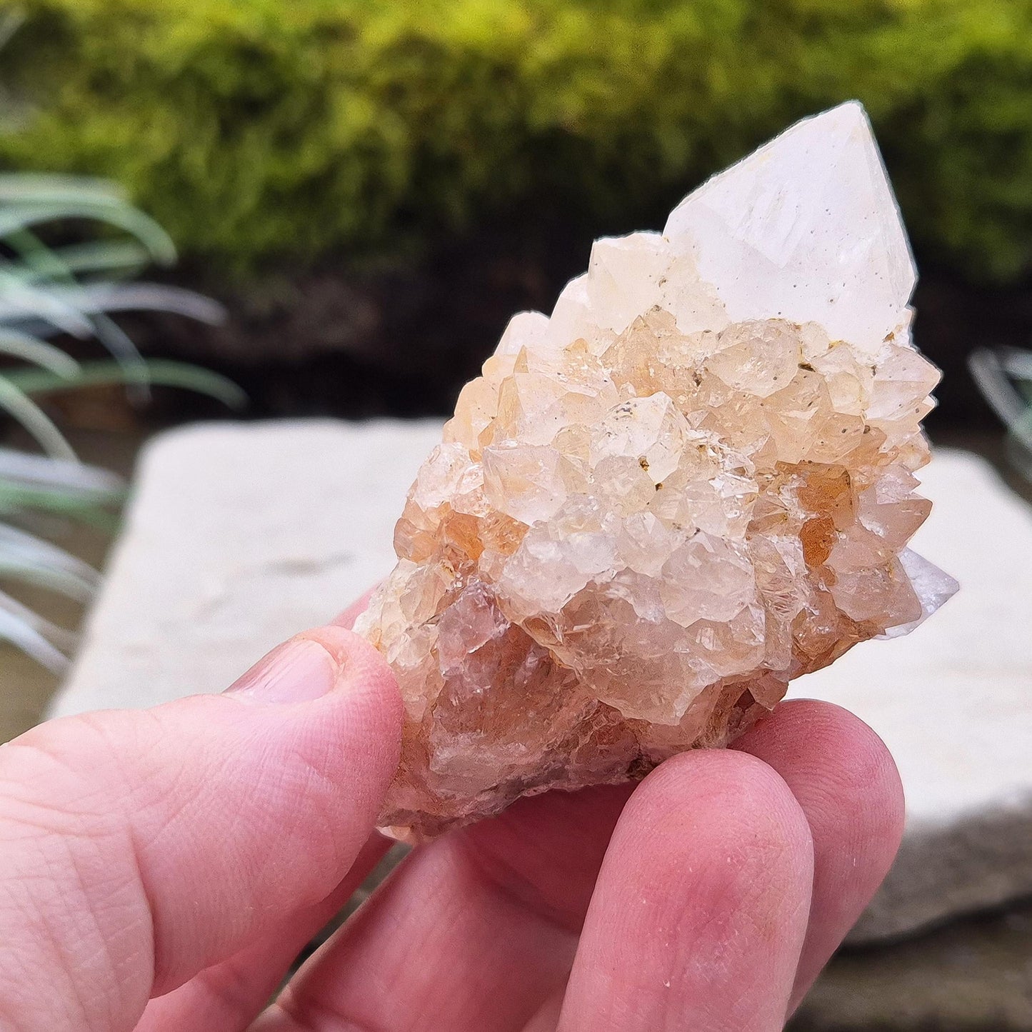 Spirit Quartz Crystal Cluster, Cactus Quartz