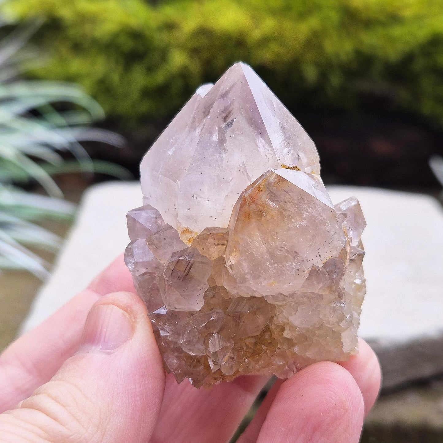 Spirit Quartz Crystal Cluster, also known as Cactus Quartz, originates from north of Pretoria in South Africa’s Gauteng province. This unique crystal features a central quartz point surrounded by smaller druzy quartz crystals.