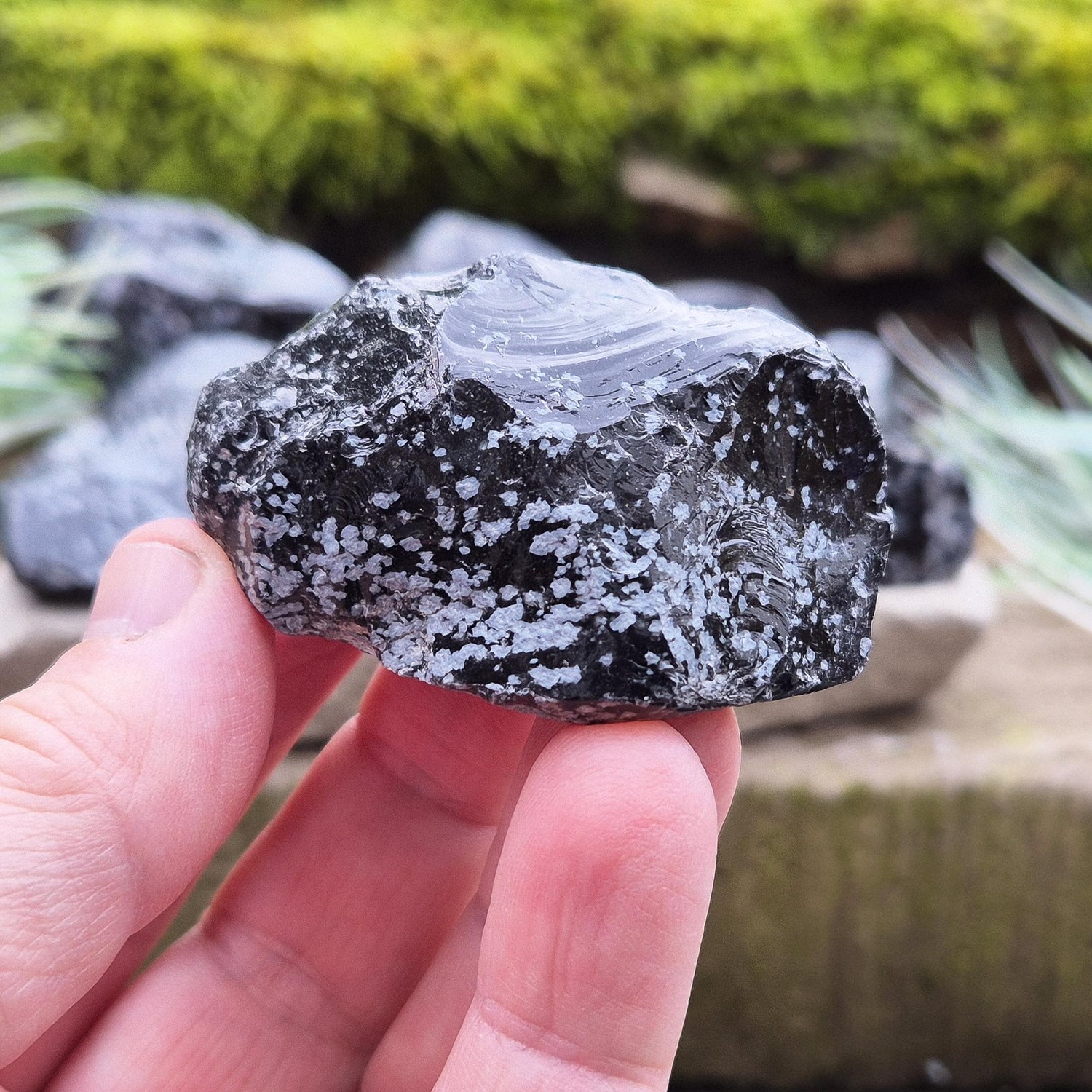 Natural Snowflake Obsidian pieces from the USA. Natural chunks of snowflake obsidian. You get 2 pieces as shown in the photos.