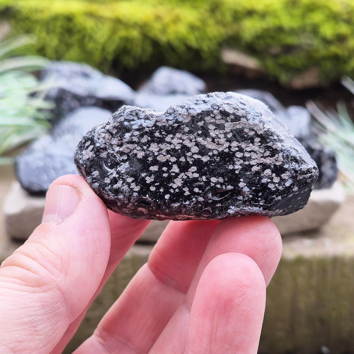 Natural Snowflake Obsidian pieces from the USA. Natural chunks of snowflake obsidian. You get 2 pieces as shown in the photos.