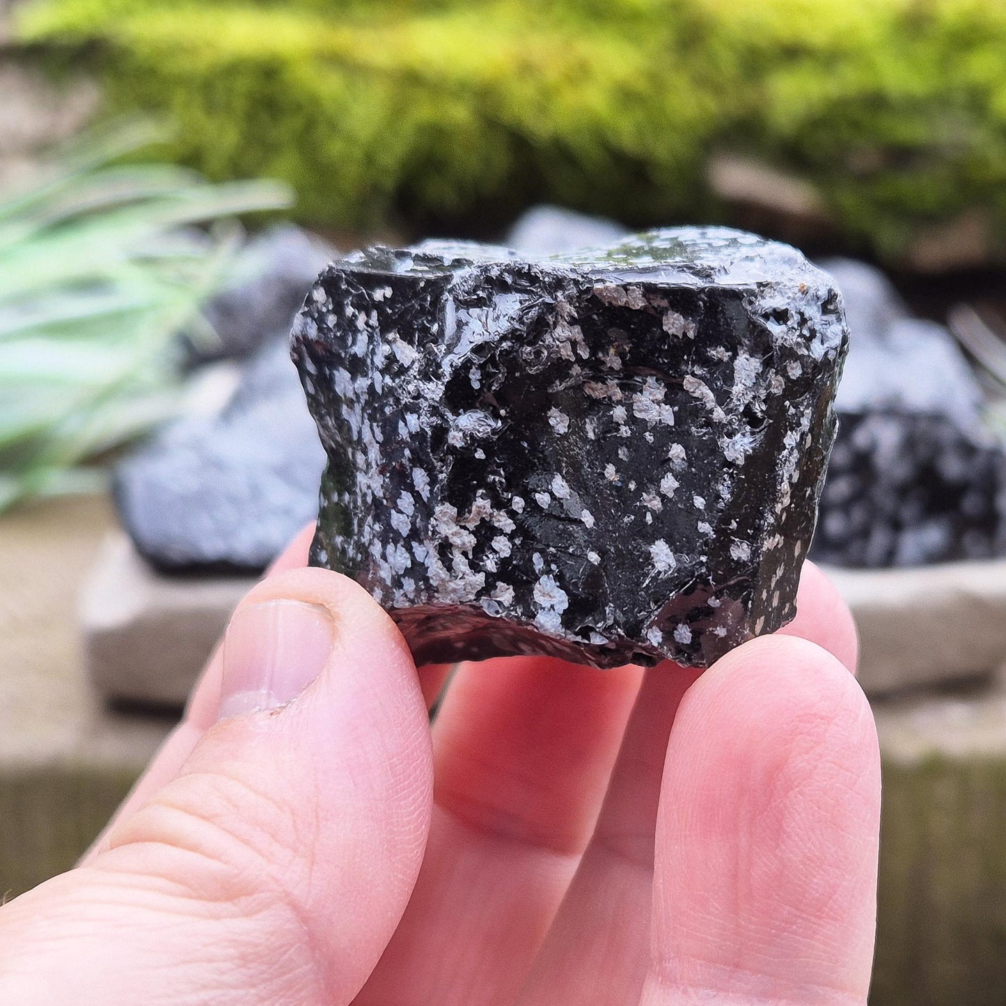 Natural Snowflake Obsidian pieces from the USA. Natural chunks of snowflake obsidian. You get 2 pieces as shown in the photos.