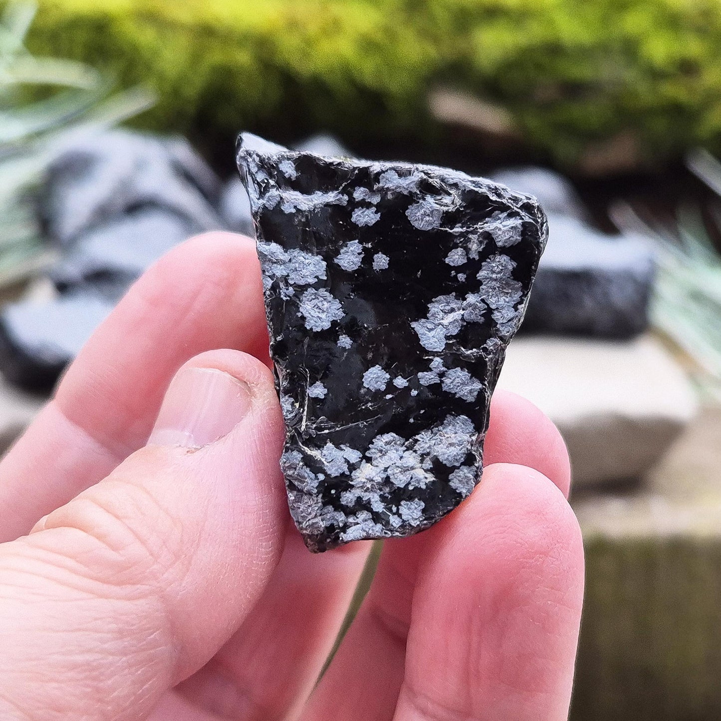 Snowflake Obsidian Pieces (2) - Helps Clear Mental Clutter