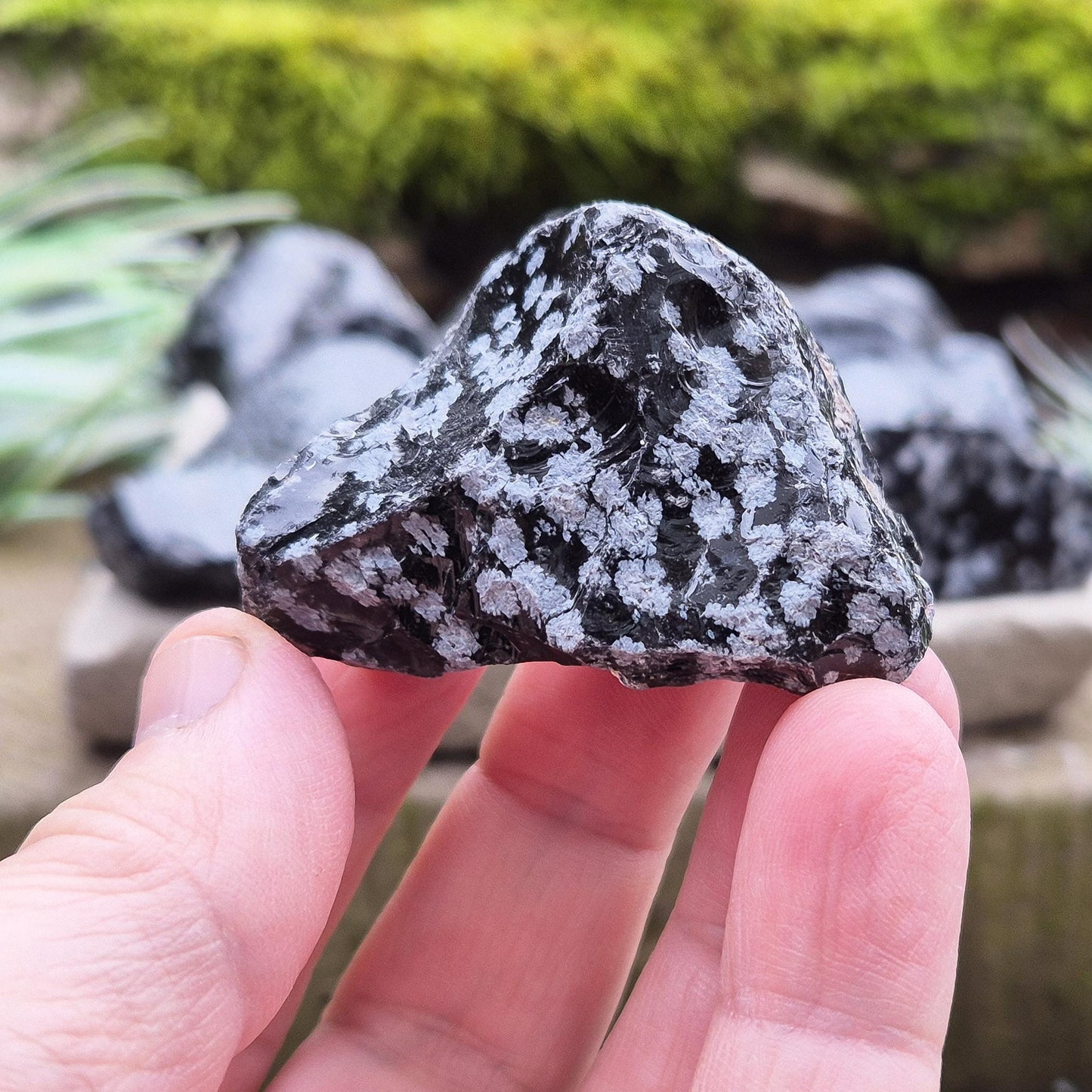 Snowflake Obsidian Pieces (2) - Ideal for Clarity & Grounding