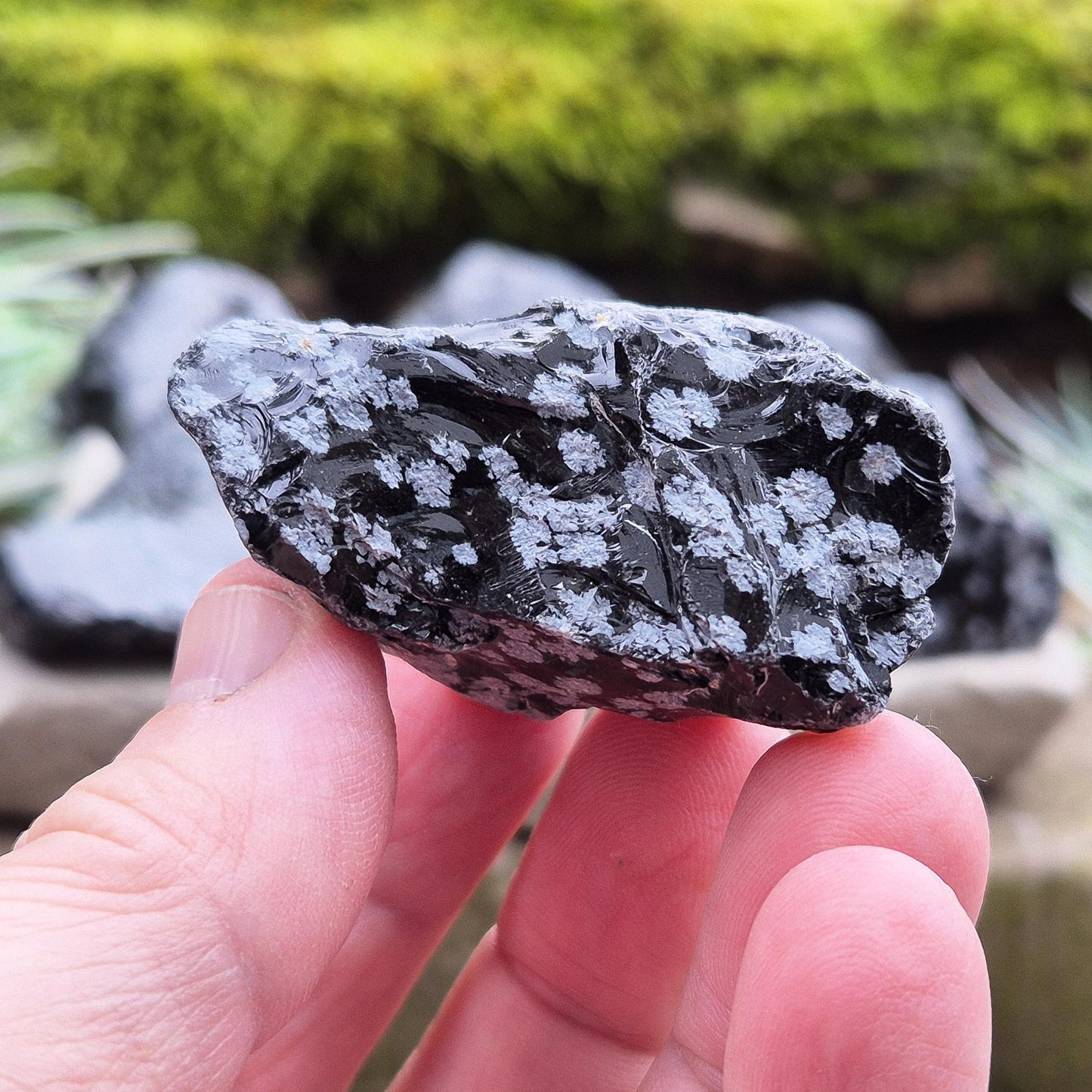 Snowflake Obsidian Pieces (2) - Ideal for Clarity & Grounding