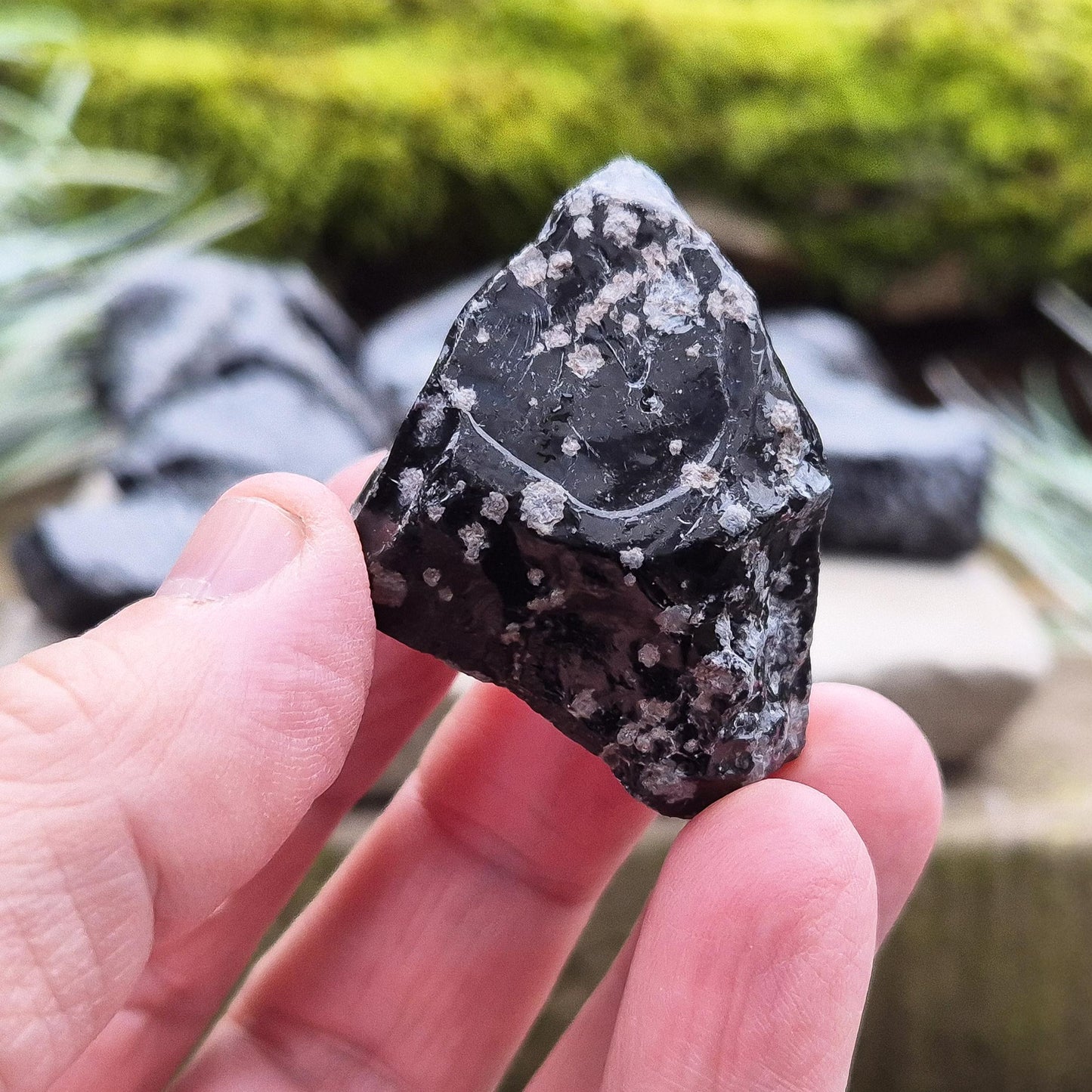 Snowflake Obsidian Pieces (2) - Helps Clear Mental Clutter