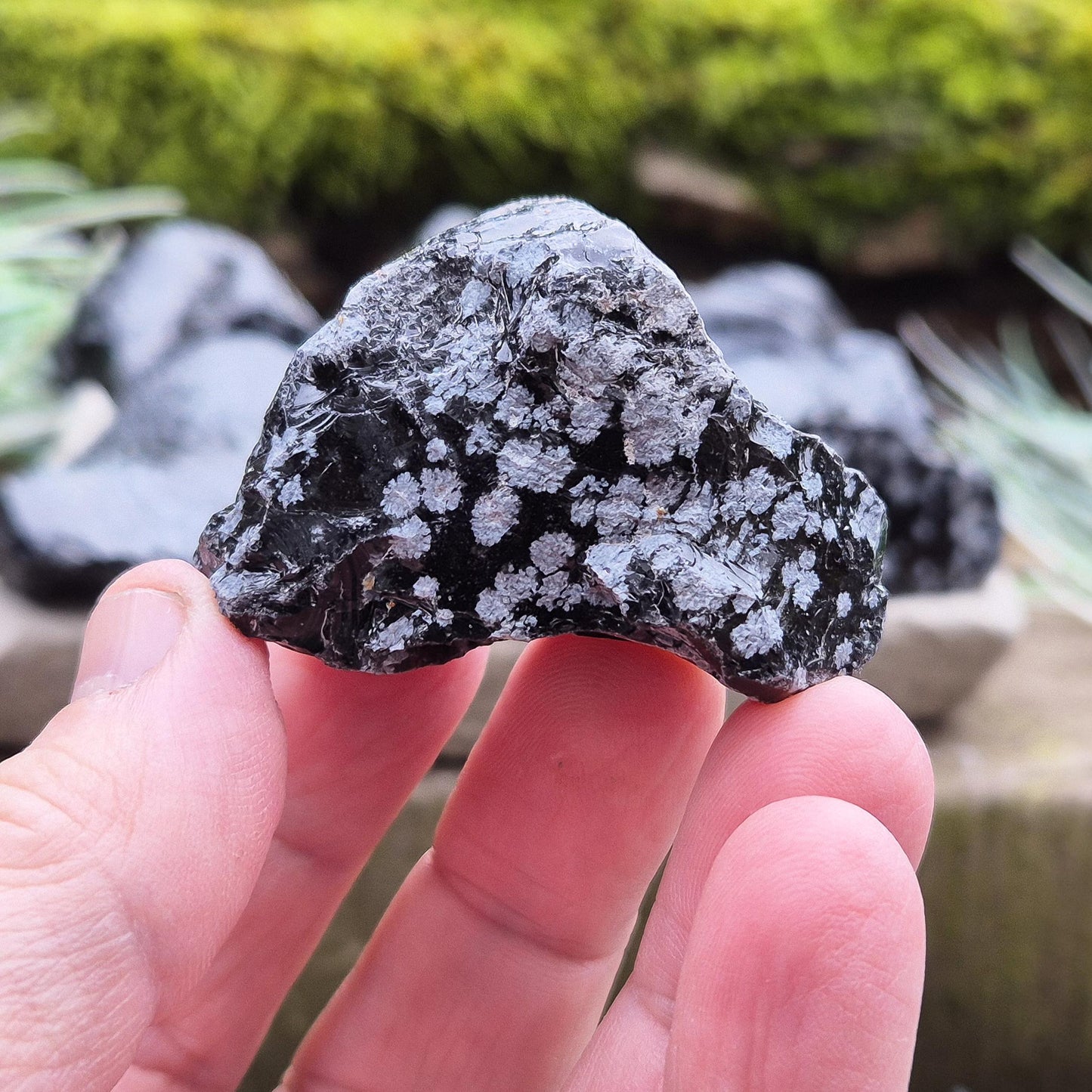 Snowflake Obsidian Pieces (2) - Ideal for Clarity & Grounding