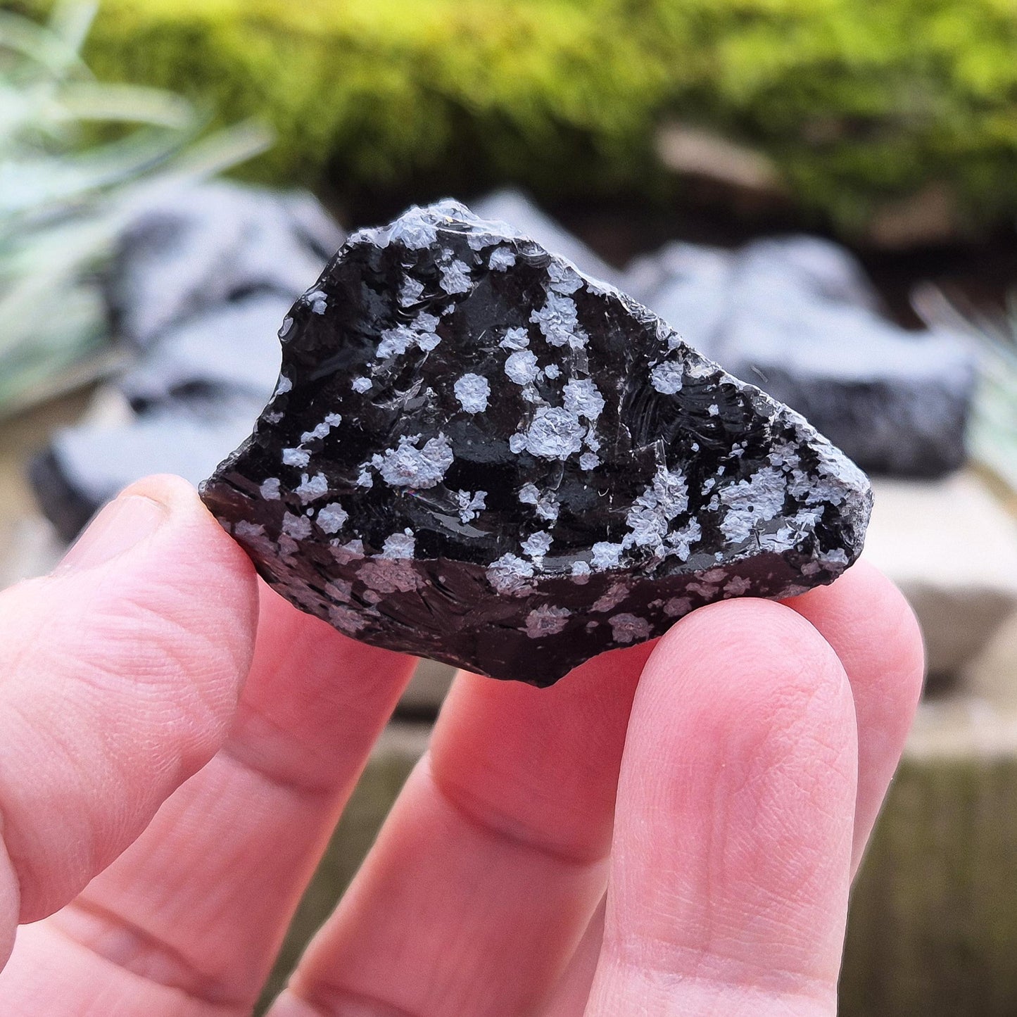 Snowflake Obsidian Pieces (2) - Helps Clear Mental Clutter