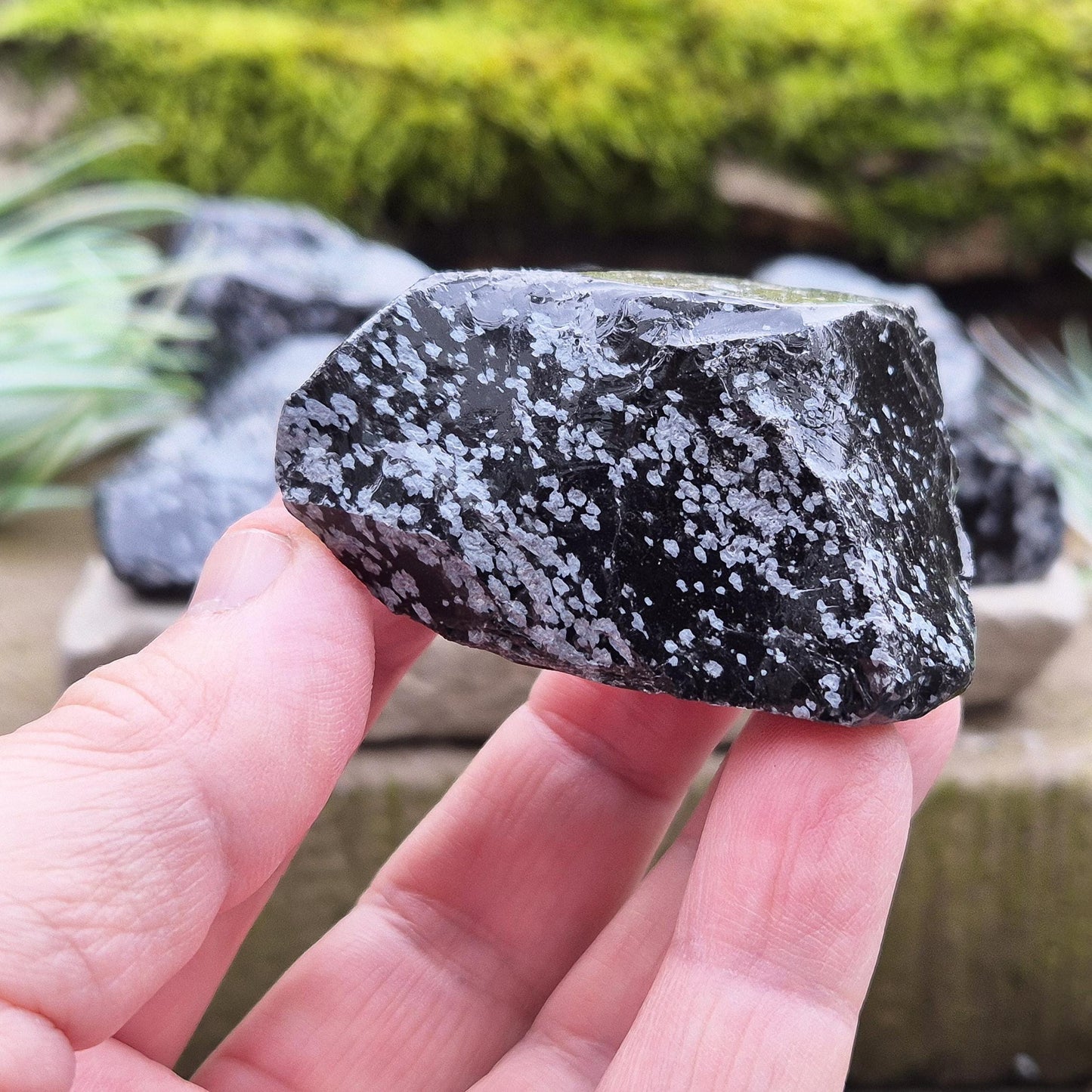 Natural Snowflake Obsidian pieces from the USA. Natural chunks of snowflake obsidian. You get 2 pieces as shown in the photos.