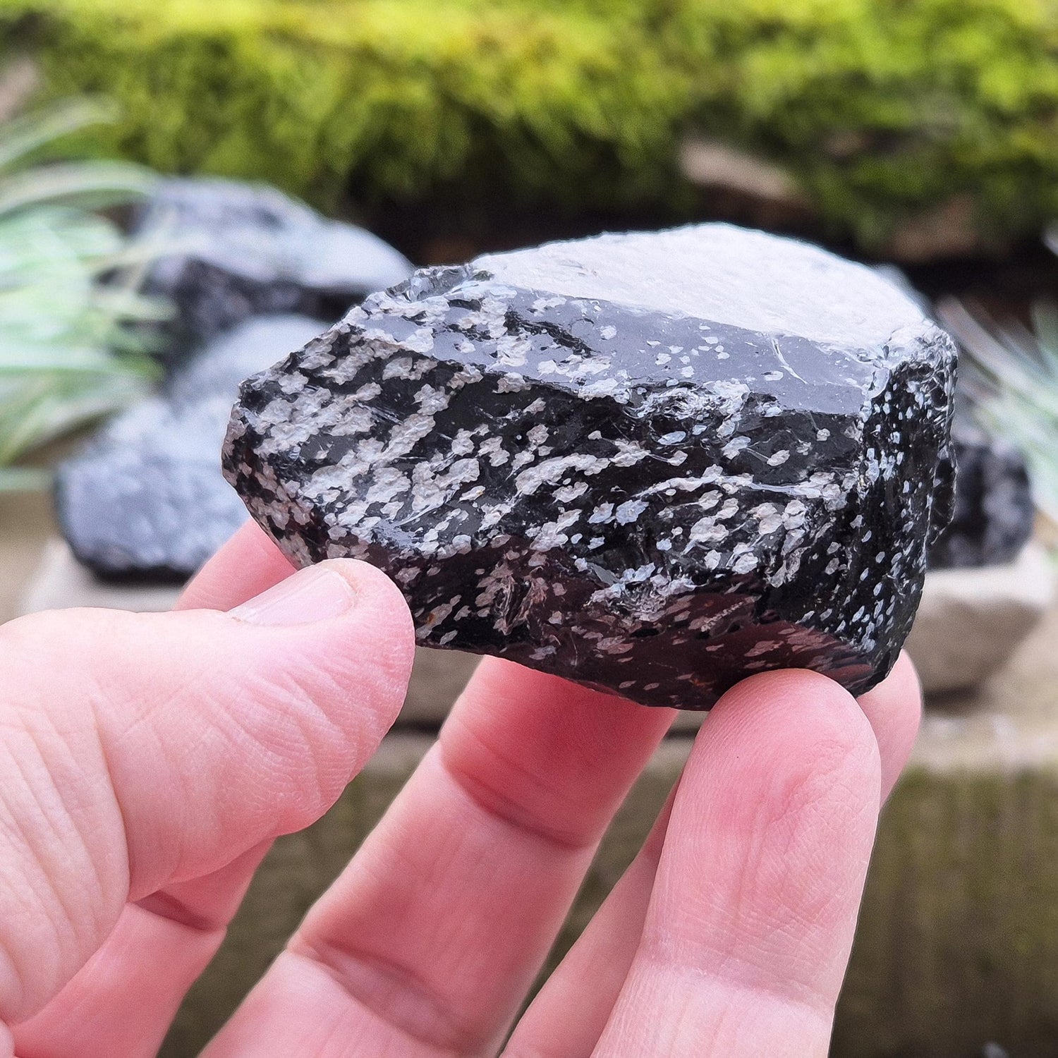 Natural Snowflake Obsidian pieces from the USA. Natural chunks of snowflake obsidian. You get 2 pieces as shown in the photos.