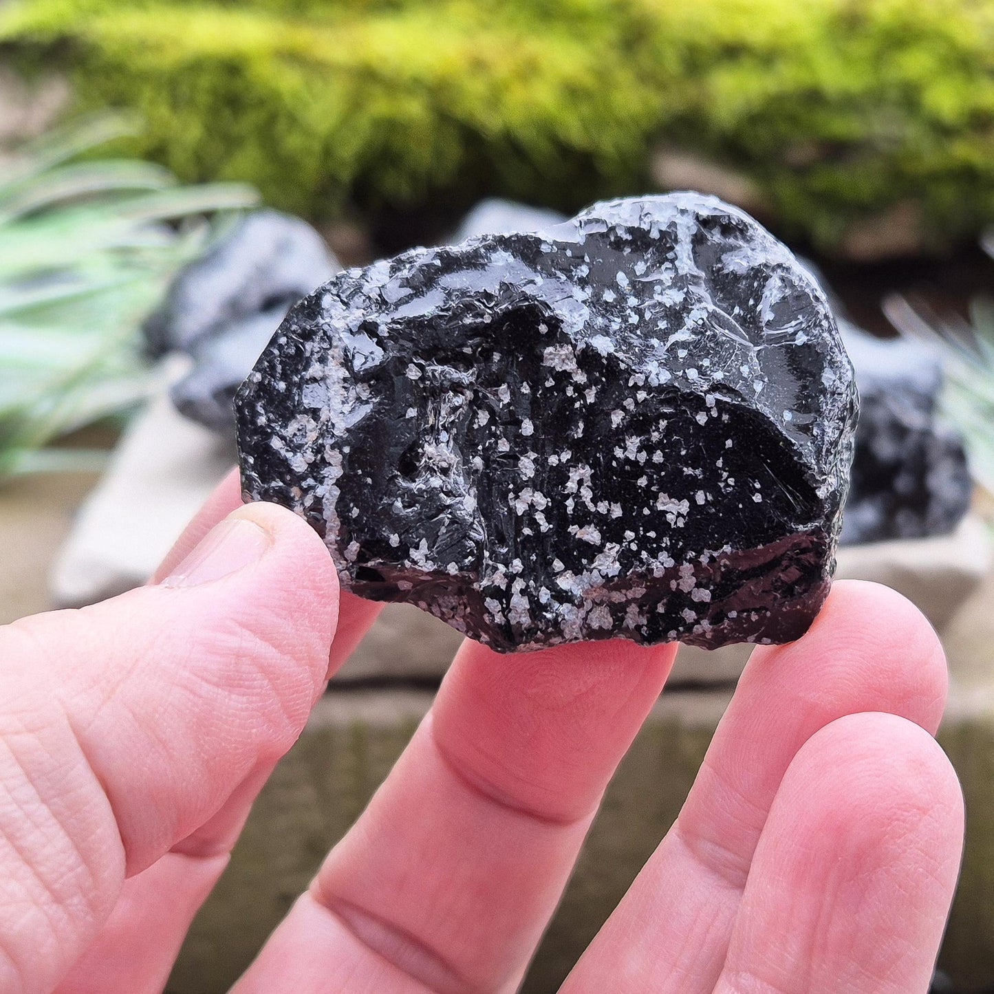 Snowflake Obsidian Pieces (2) - Aids in Letting Go of Negativity