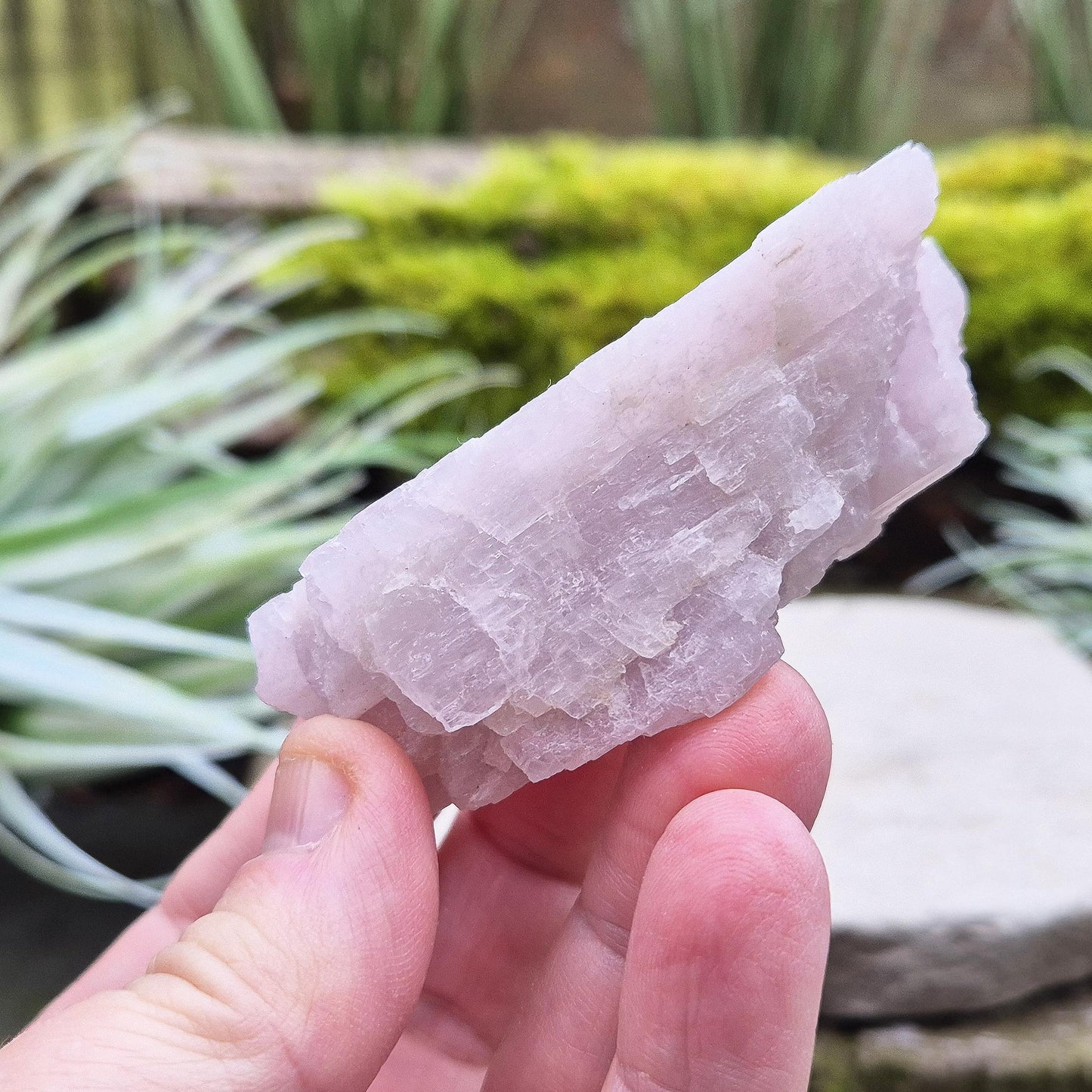 Kunzite Crystal from Brazil. Lovely piece as with a soft pink/lilac hue and shiny lustre.