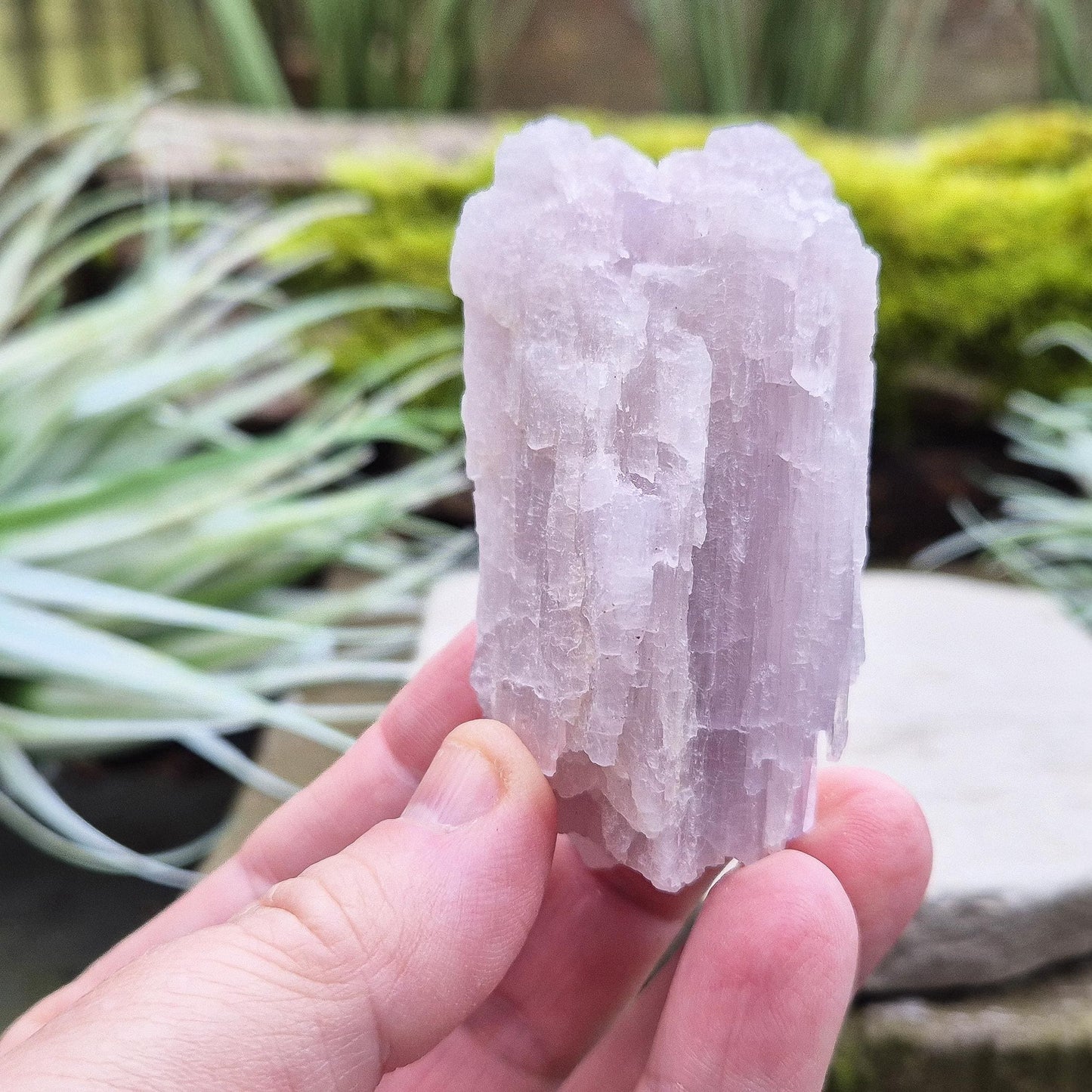 Kunzite Crystal from Brazil. Lovely piece as with a soft pink/lilac hue and shiny lustre.