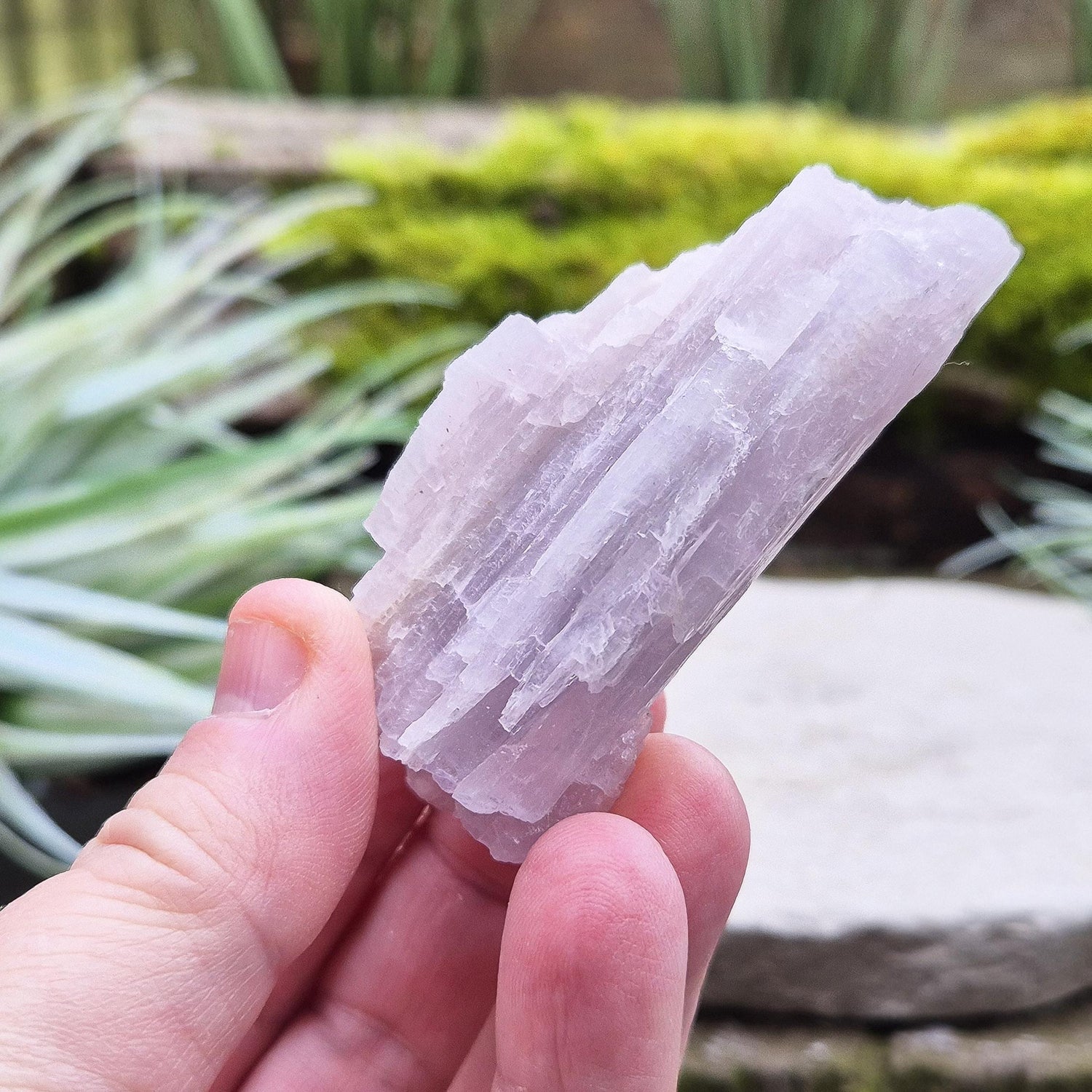 Kunzite Crystal from Brazil. Lovely piece as with a soft pink/lilac hue and shiny lustre.