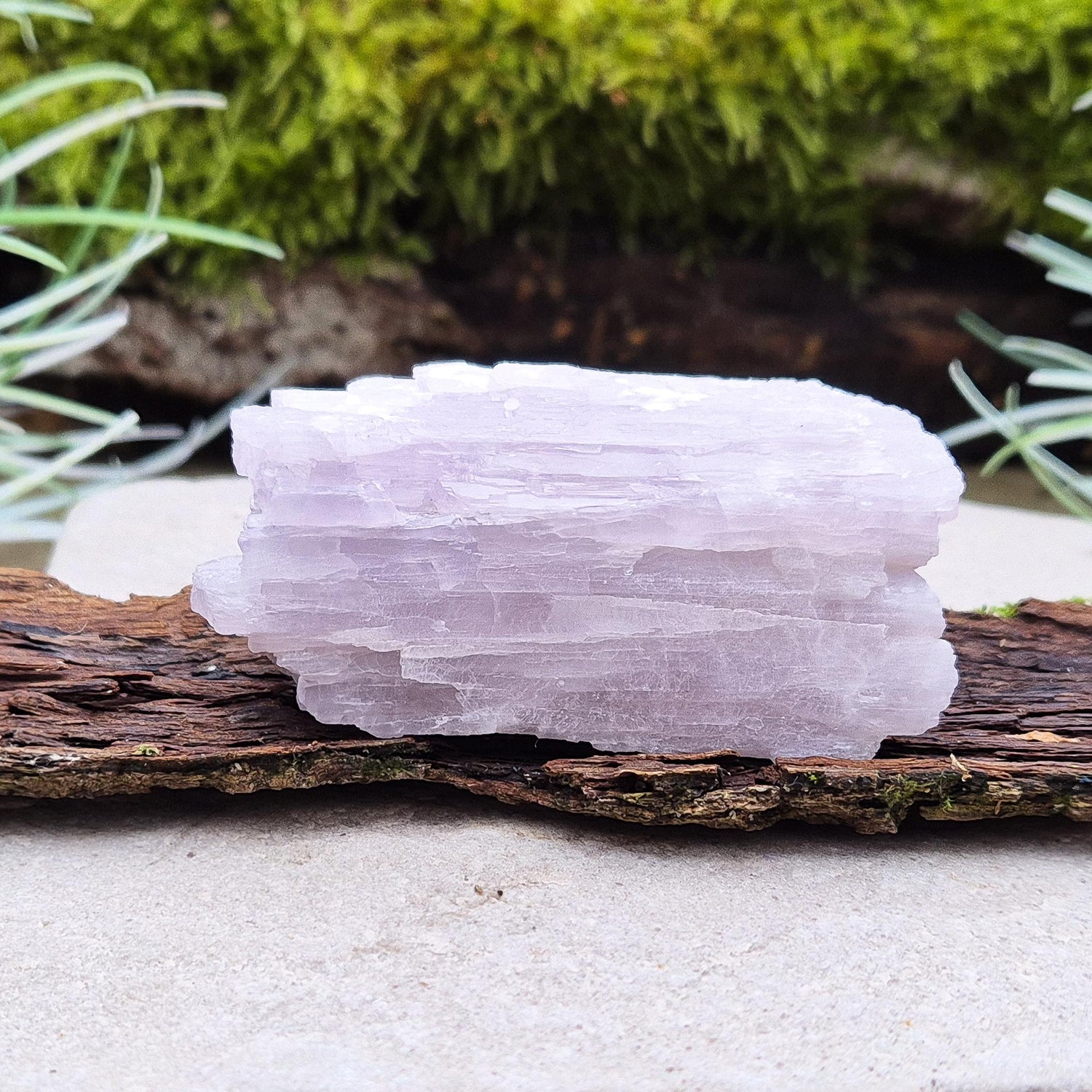 Kunzite Crystal from Brazil. Lovely piece as with a soft pink/lilac hue and shiny lustre.