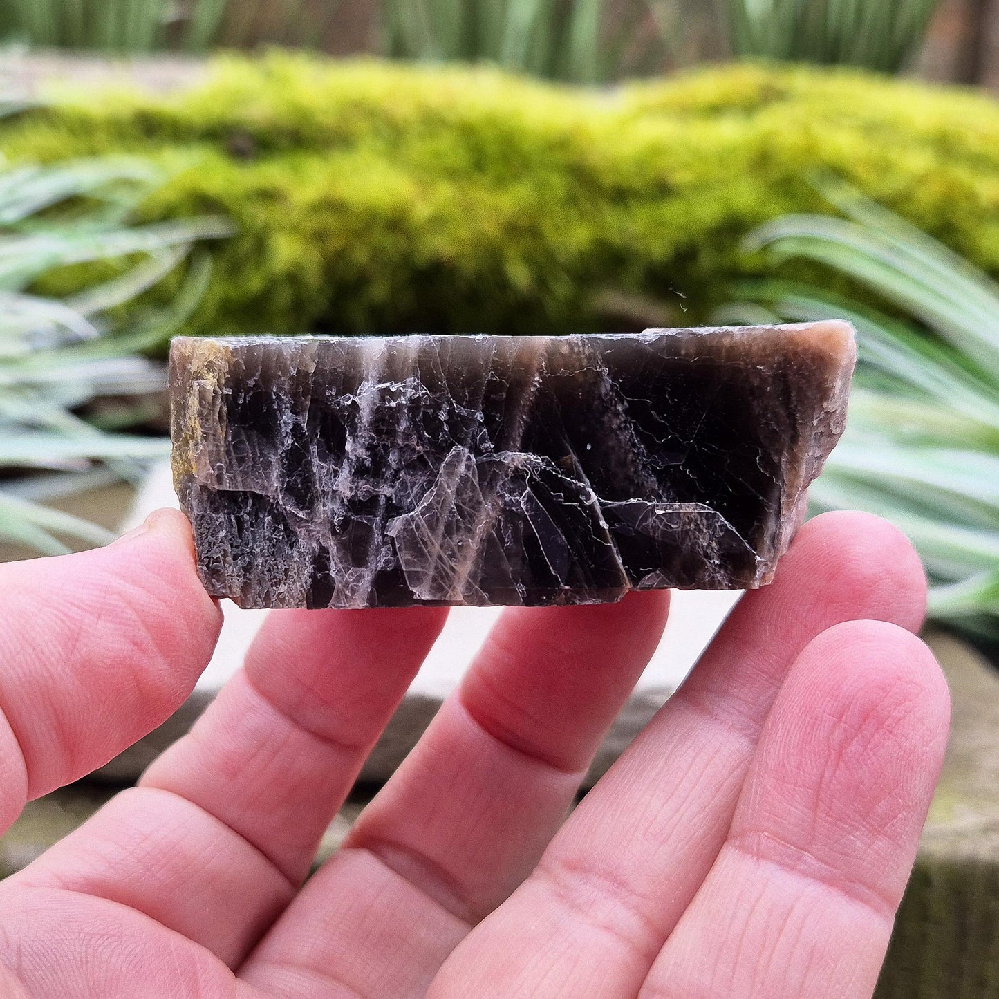 Black Moonstone Crystal - Natural | Root, Sacral, Third Eye Chakra Stone