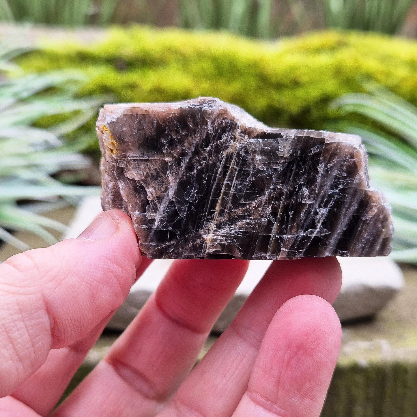 Black Moonstone Crystal - Natural | Root, Sacral, Third Eye Chakra Stone