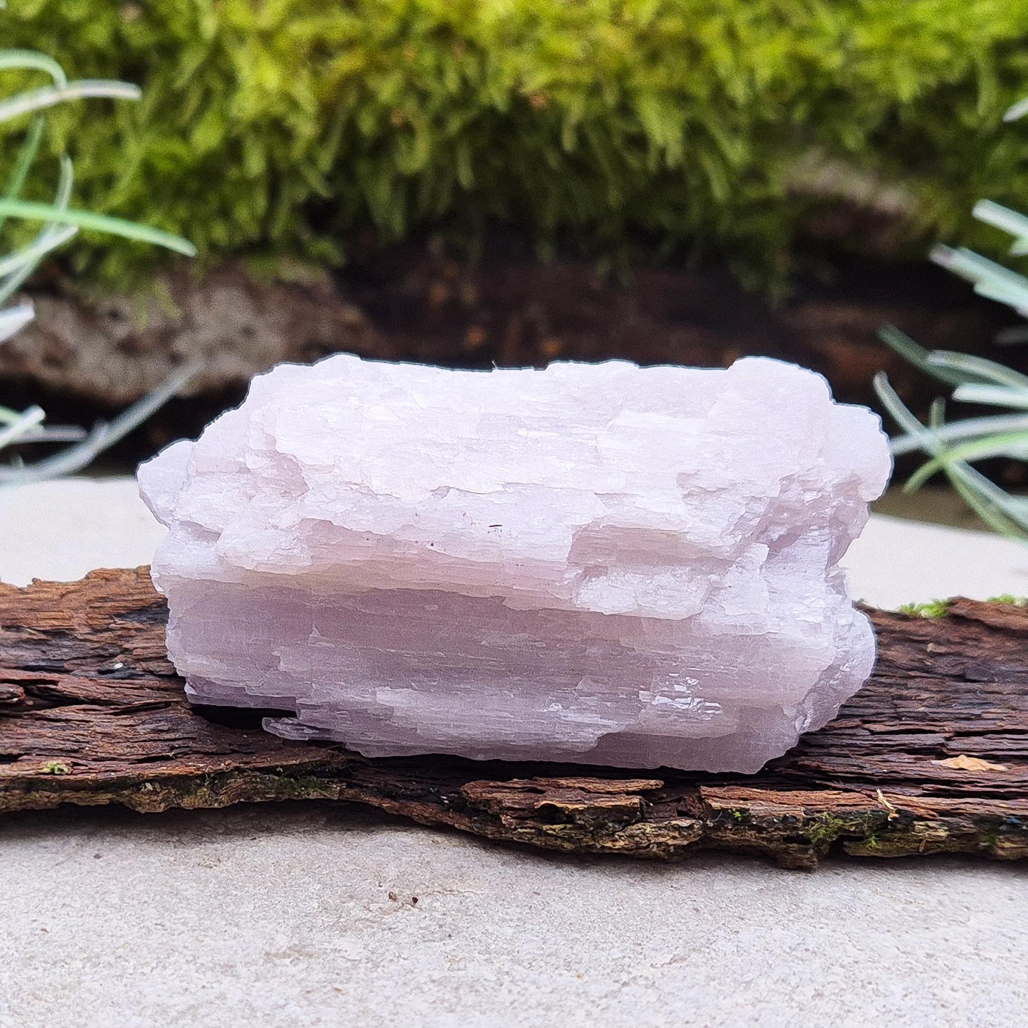 Kunzite, Natural - A beautiful crystal valued for love, balance, and tranquility