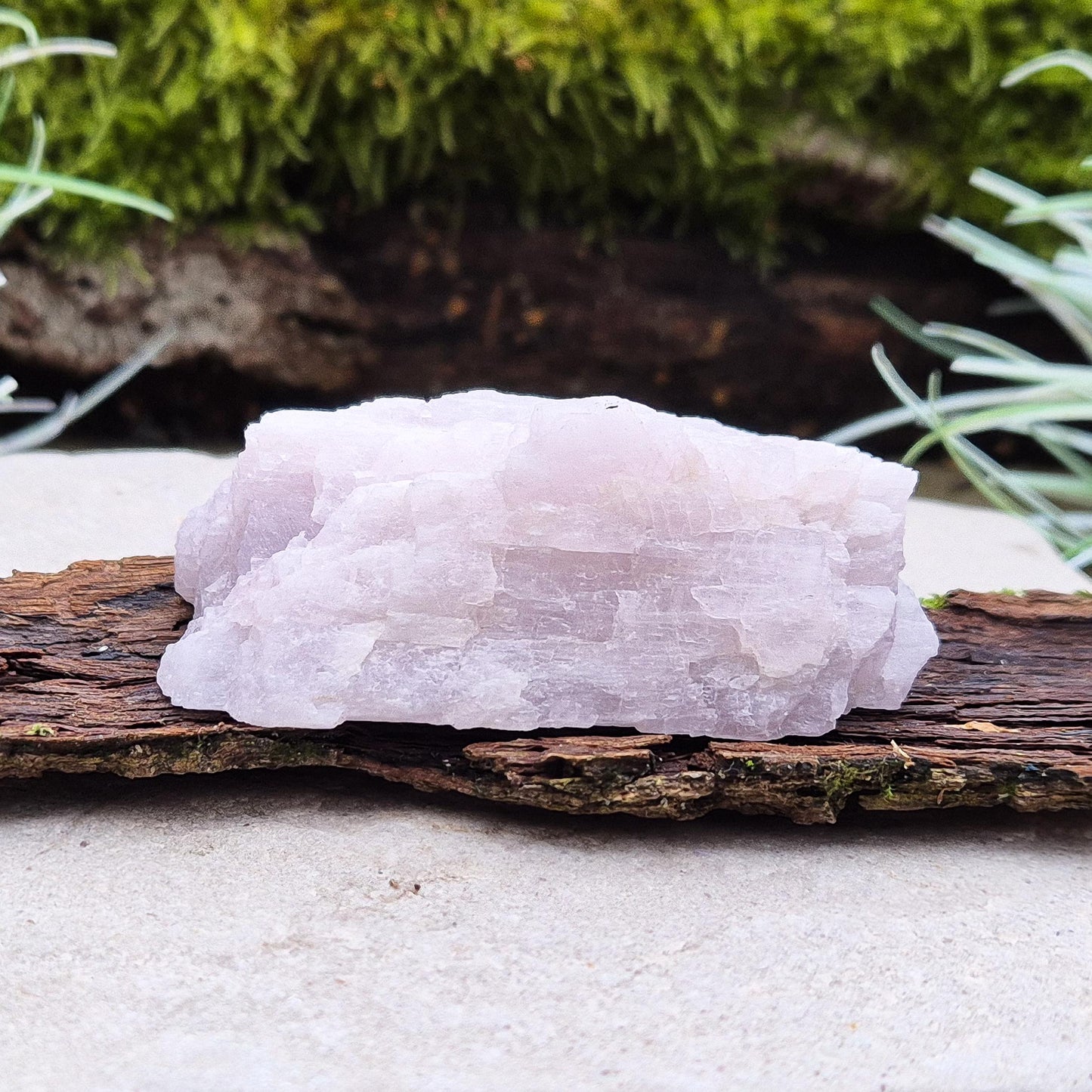 Kunzite, Natural - A beautiful crystal valued for love, balance, and tranquility