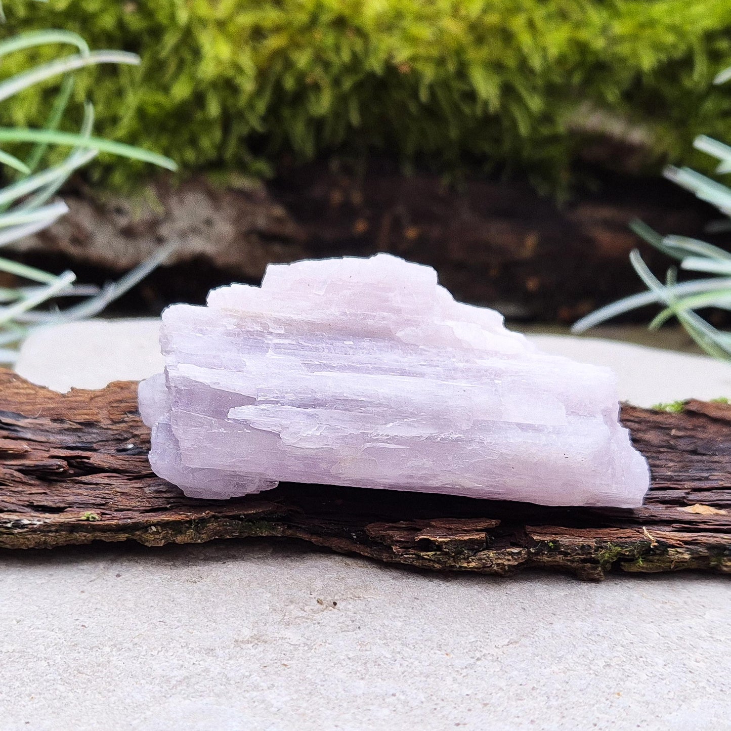 Kunzite, Natural - A beautiful crystal valued for love, balance, and tranquility