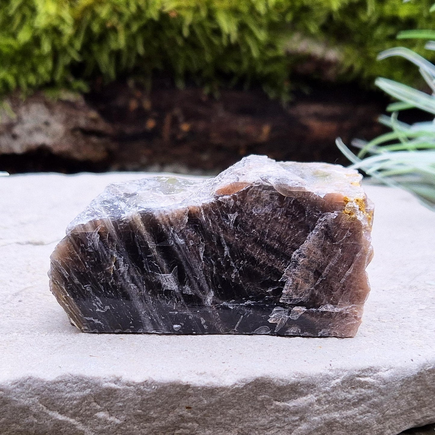 Black Moonstone Crystal - Natural | Root, Sacral, Third Eye Chakra Stone