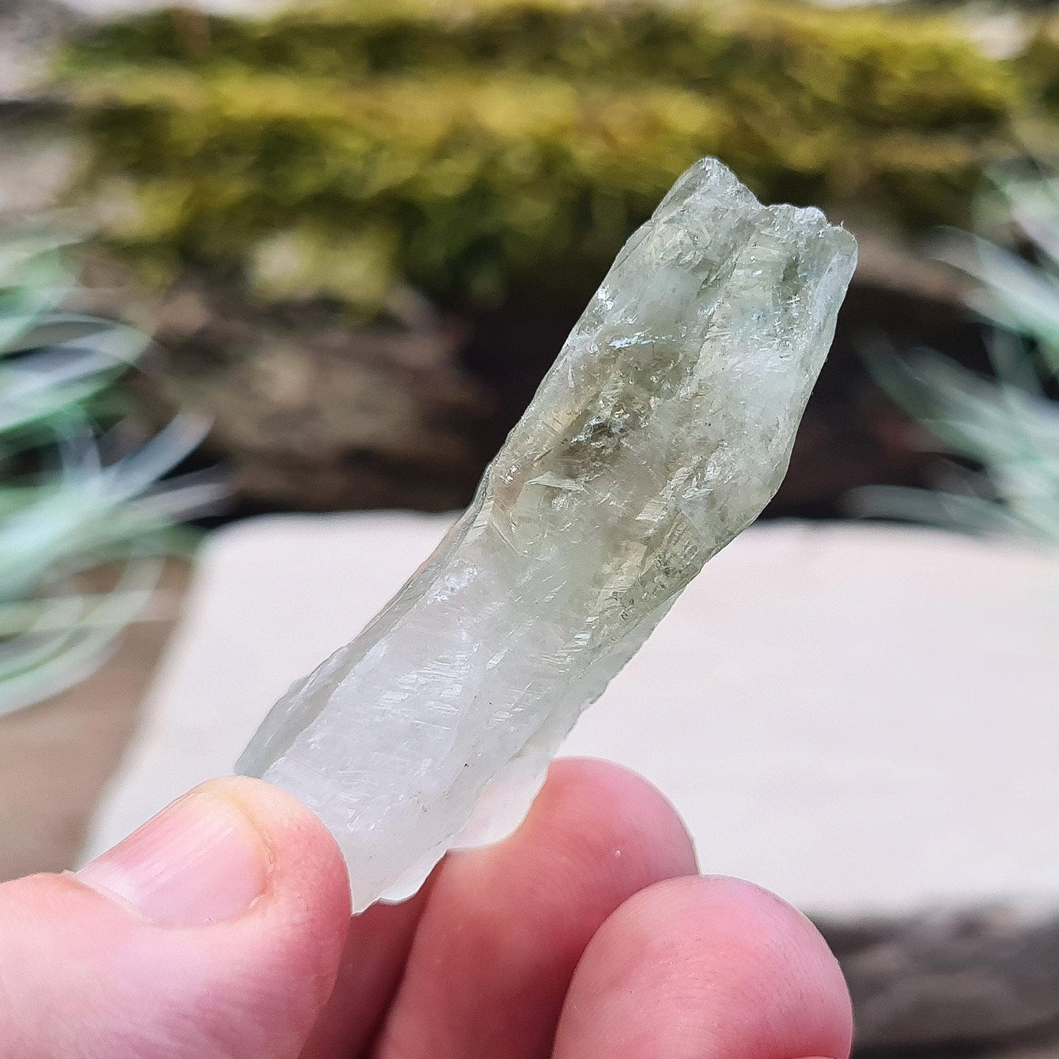 Prasiolite, also known as Green Quartz, is a beautiful stone featuring a lovely green hue. While natural Prasiolite is incredibly rare, most of the Prasiolite on the market is heat-treated amethyst, sourced from a limited number of amethyst localities in Brazil.