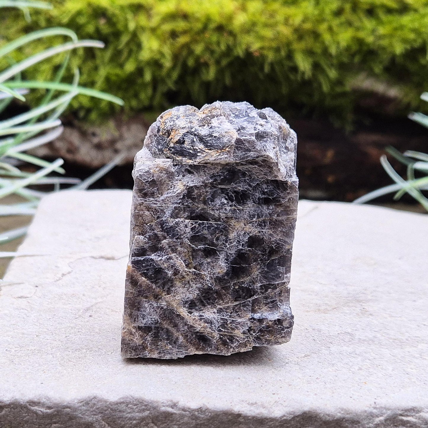 Black Moonstone, Natural, Inspires New Beginnings, Focus, and Positive Energy in Every Space