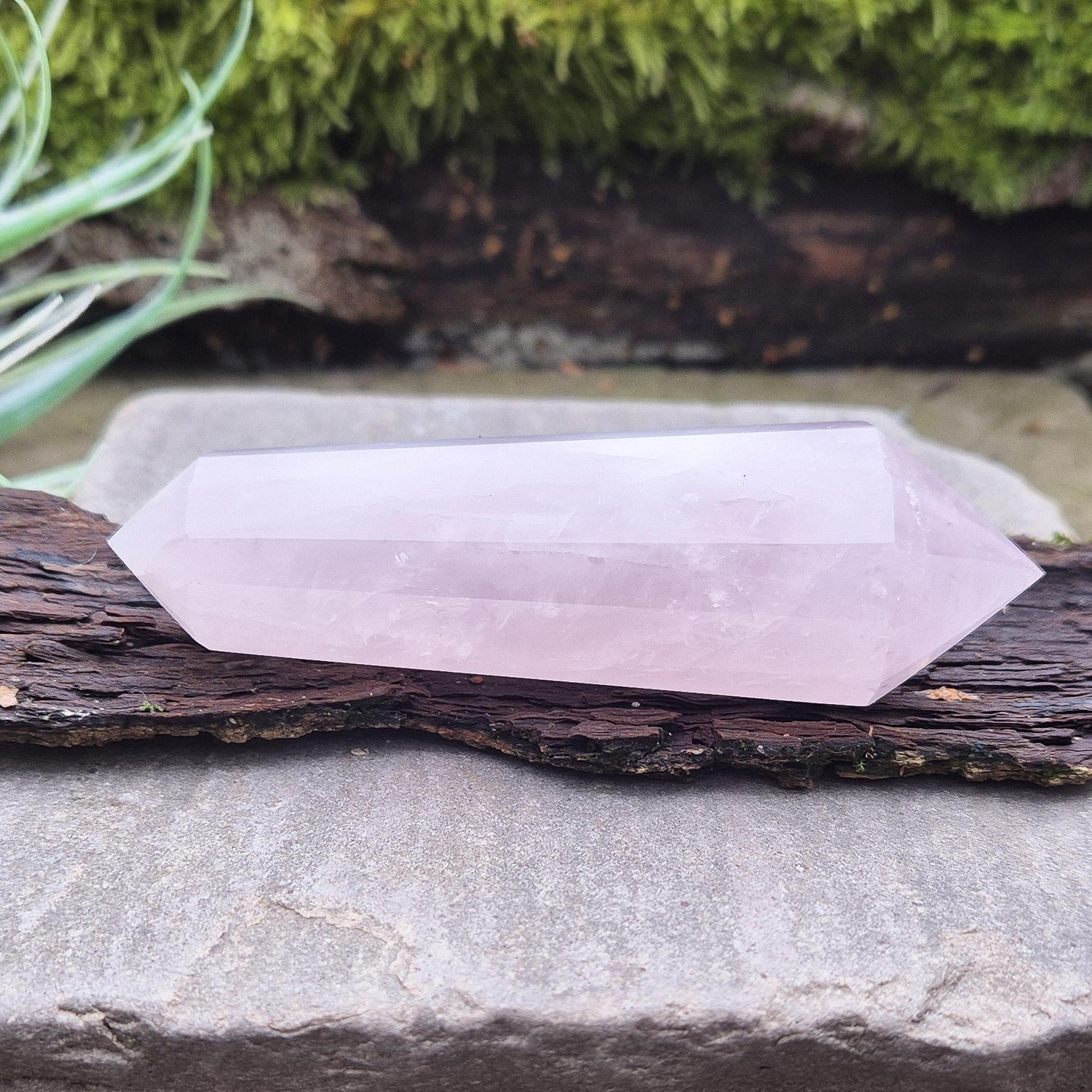 Rose Quartz Double Terminated Vogel Cut Wand from Brazil. Lovely pale pink colouring. 12 sided. One larger end, and one smaller end.