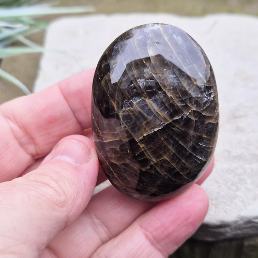 Black Moonstone Palm Stone from Madagascar. Black Moonstone is a variety of moonstone that features dark shades, often with a subtle shimmer. 