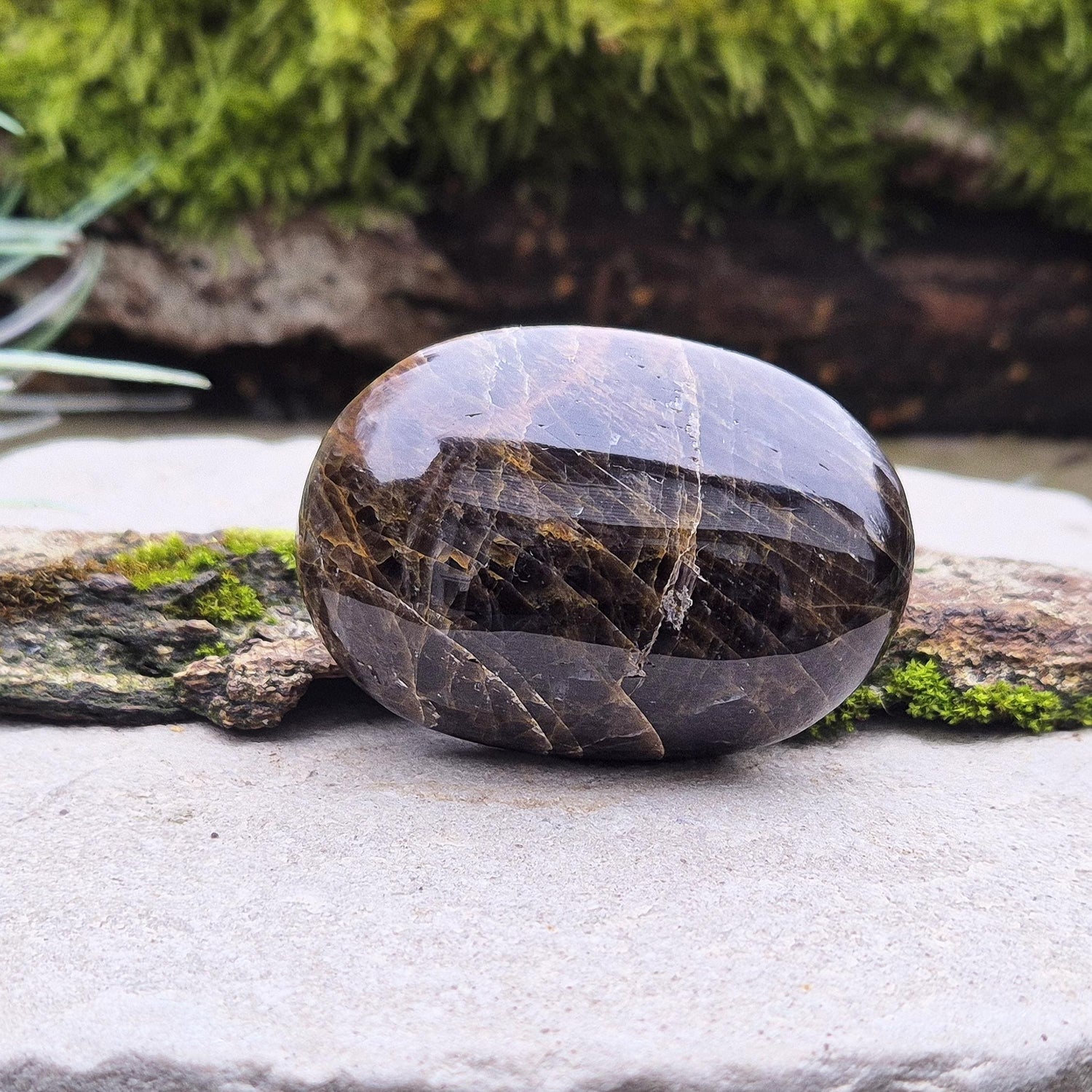 Black Moonstone Palm Stone from Madagascar. Black Moonstone is a variety of moonstone that features dark shades, often with a subtle shimmer. 