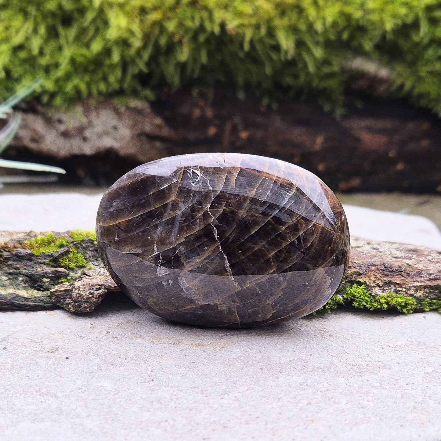 Black Moonstone Palm Stone from Madagascar. Black Moonstone is a variety of moonstone that features dark shades, often with a subtle shimmer. 