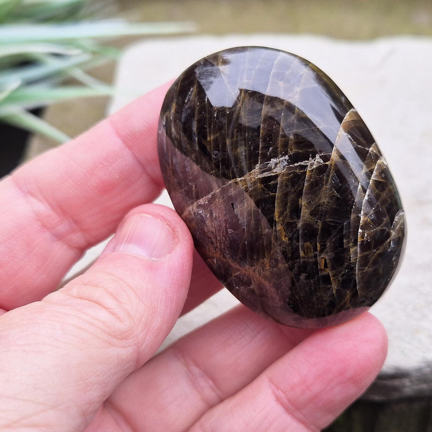 Black Moonstone Palm Stone, Beautiful Crystal for Grounding and Inner Reflection