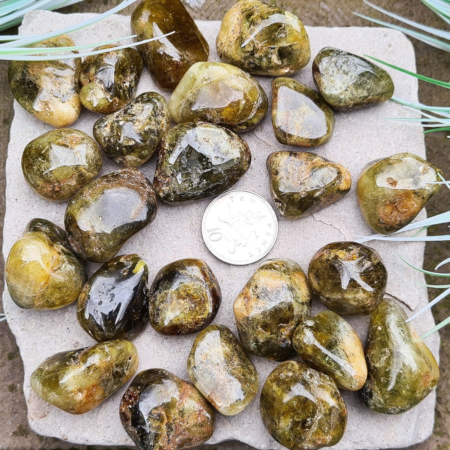 Green Garnet Tumbled Crystals. From South Africa. A mixture of light green to dark green tones. 