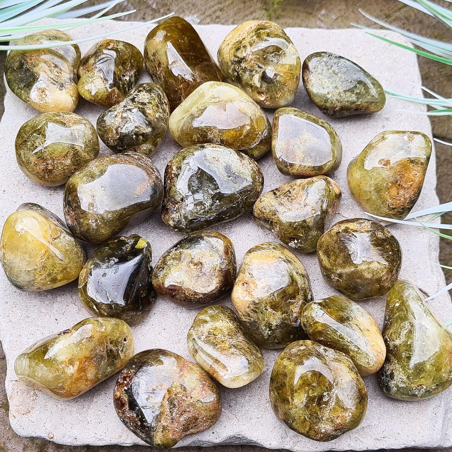 Green Garnet Tumbled Crystals. From South Africa. A mixture of light green to dark green tones. 